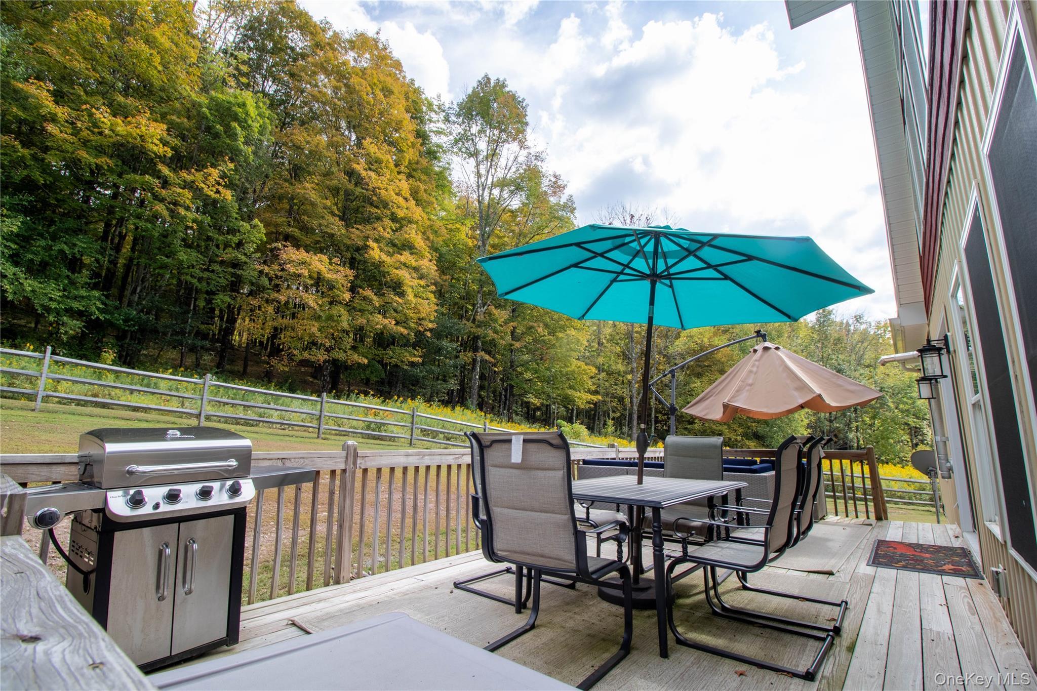 Single Family County Rd 93 (hankins Rd) Road  Sullivan County, NY 12776, MLS-1019213-38