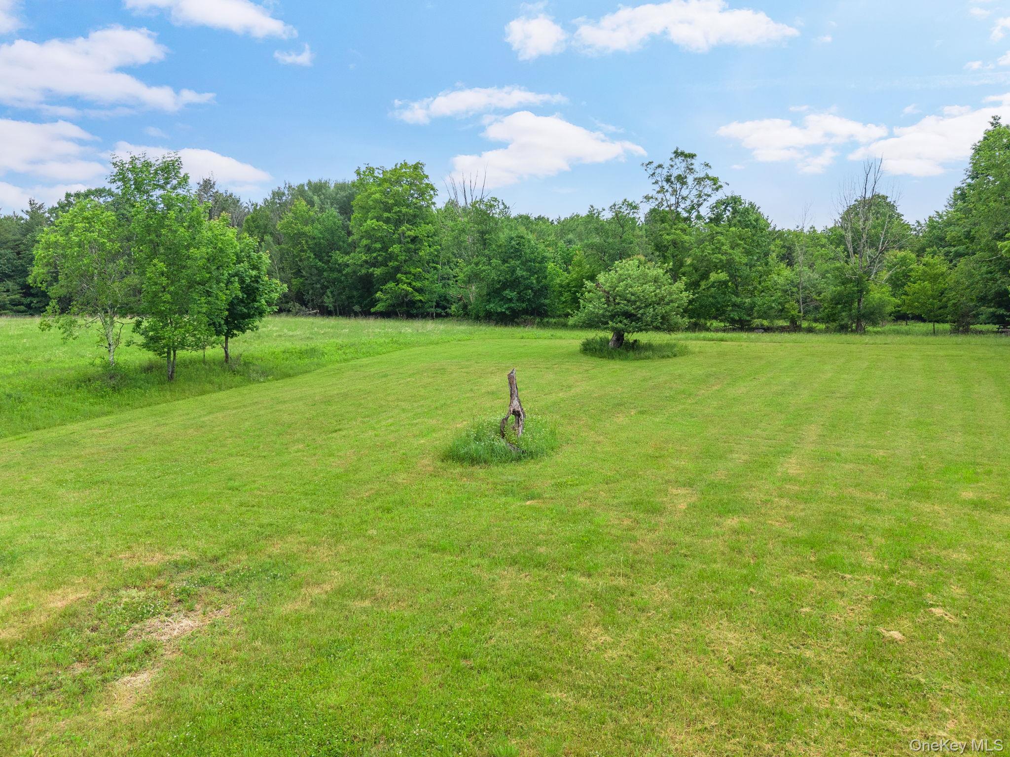 Single Family Ely Rd, Gilboa Ny Out Of Area, NY 12076, MLS-1019232-33