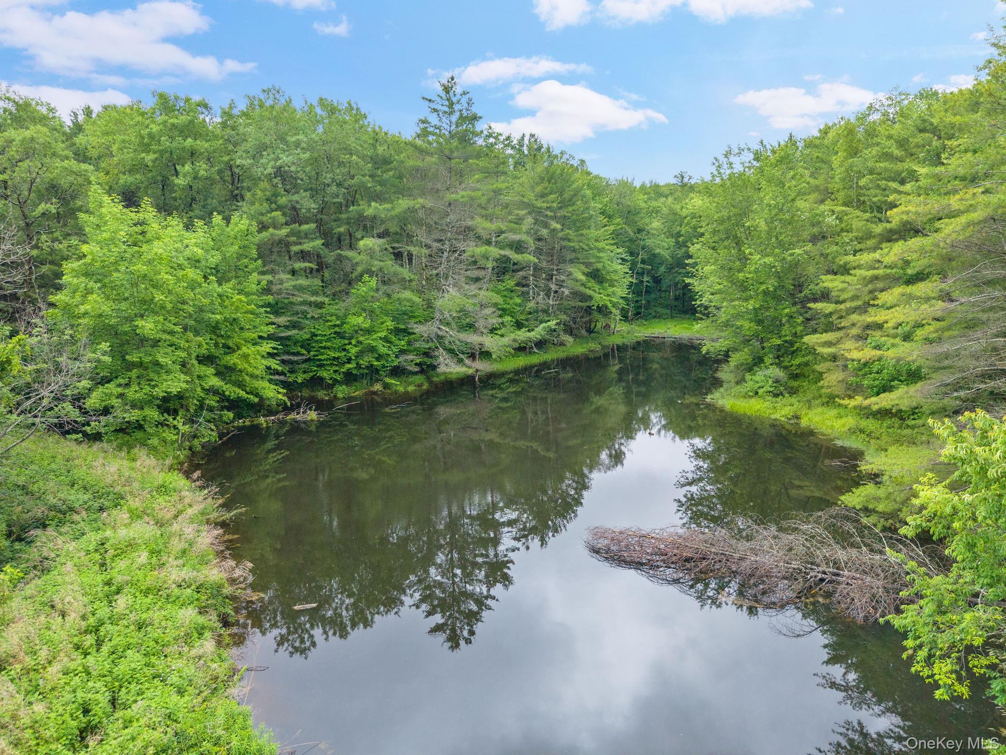 Single Family Ely Rd, Gilboa Ny Out Of Area, NY 12076, MLS-1019232-37