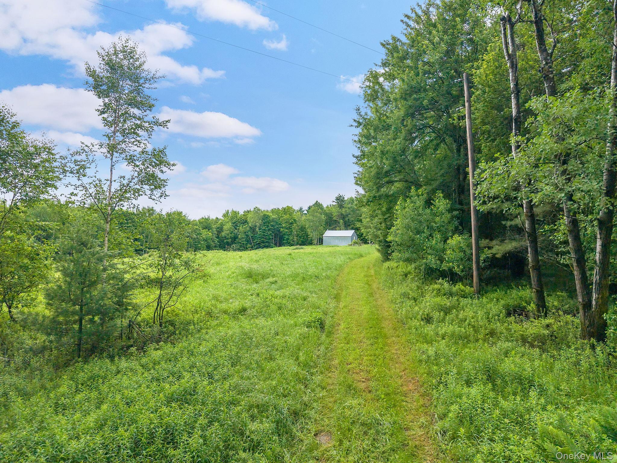 Single Family Ely Rd, Gilboa Ny Out Of Area, NY 12076, MLS-1019232-38