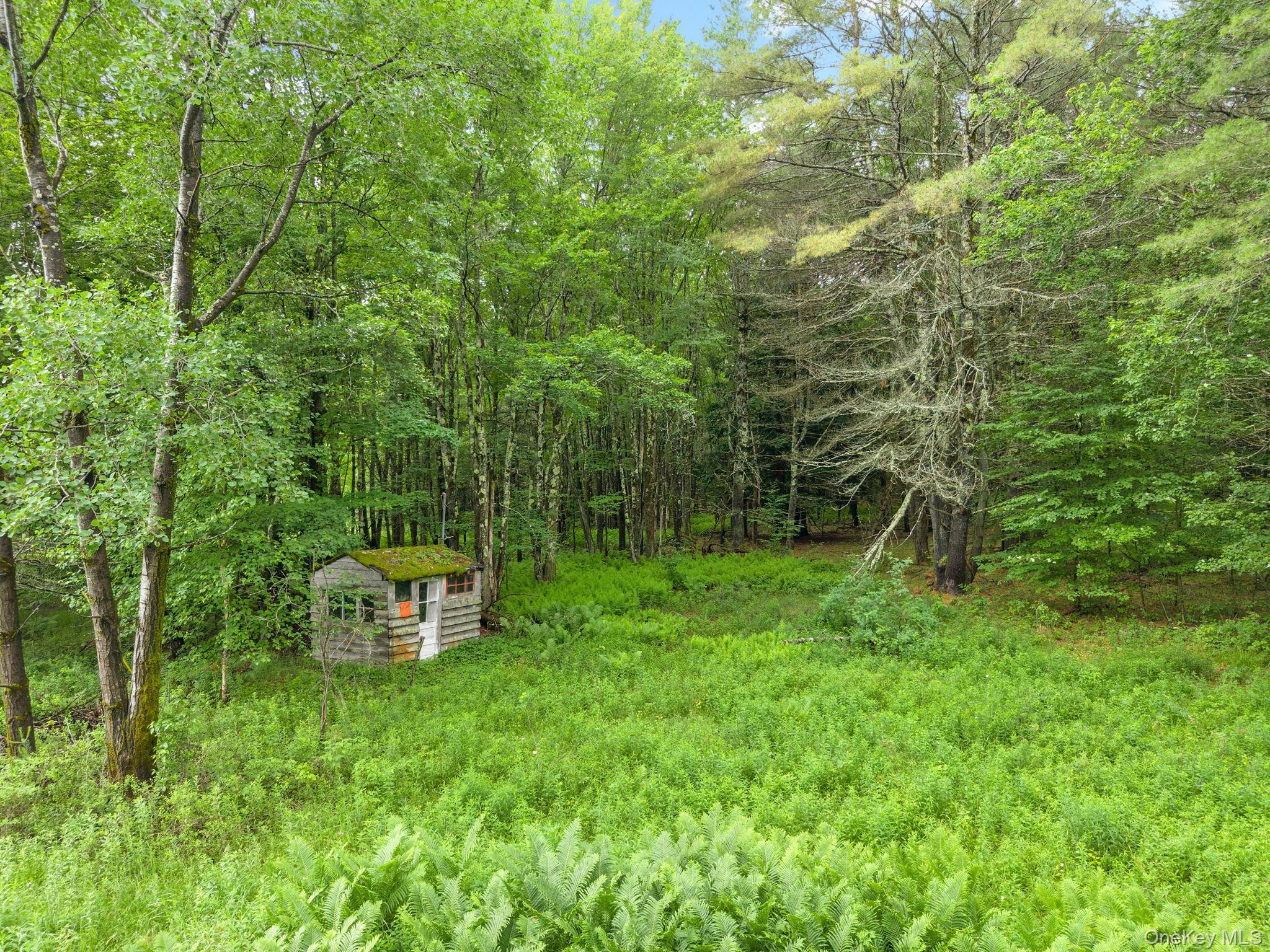 Single Family Ely Rd, Gilboa Ny Out Of Area, NY 12076, MLS-1019232-39