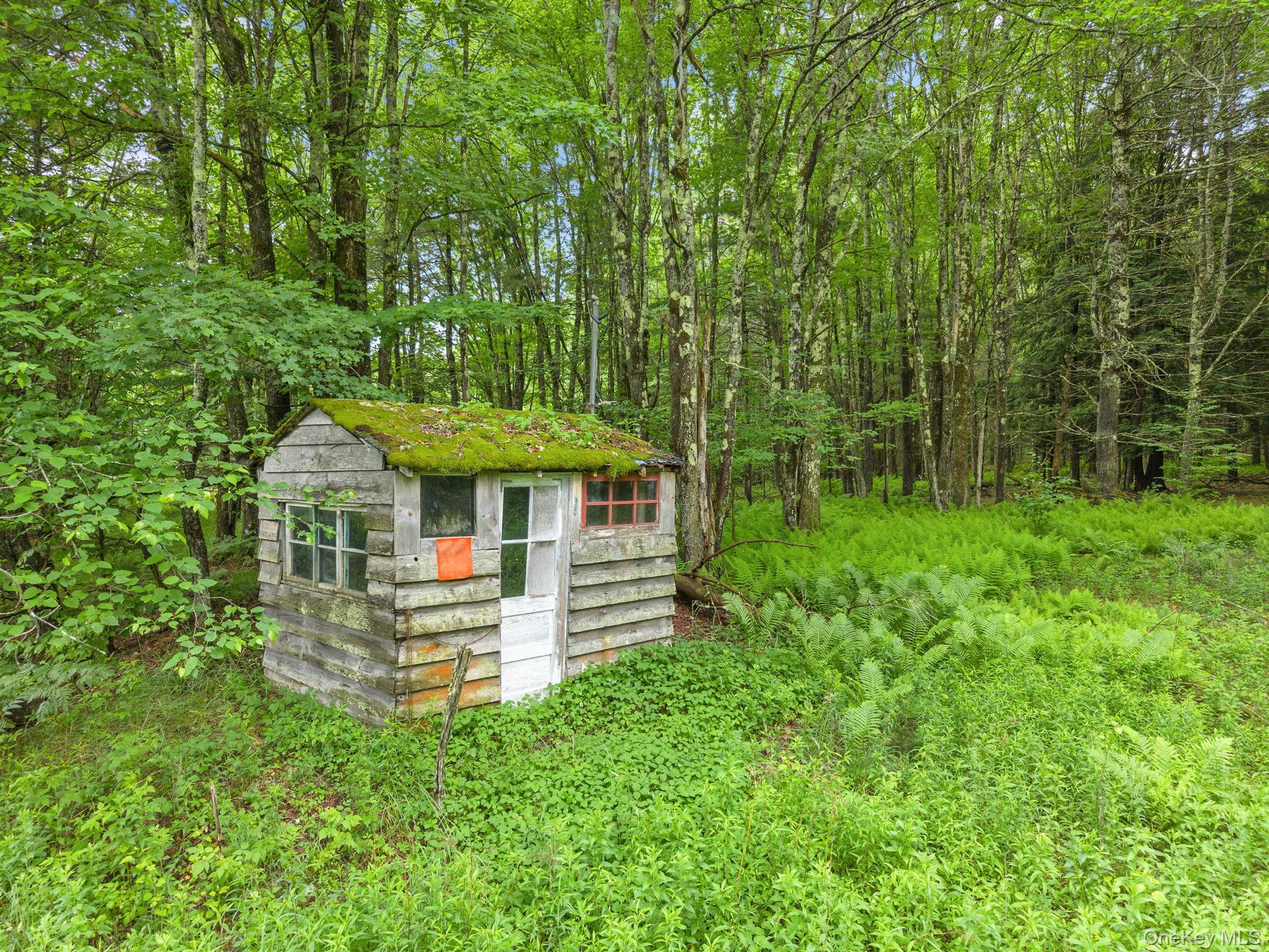 Single Family Ely Rd, Gilboa Ny Out Of Area, NY 12076, MLS-1019232-40