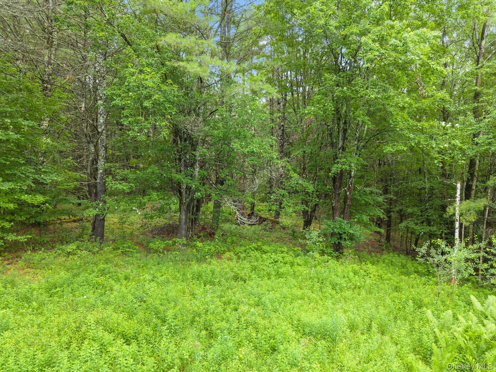 Single Family Ely Rd, Gilboa Ny Out Of Area, NY 12076, MLS-1019232-41