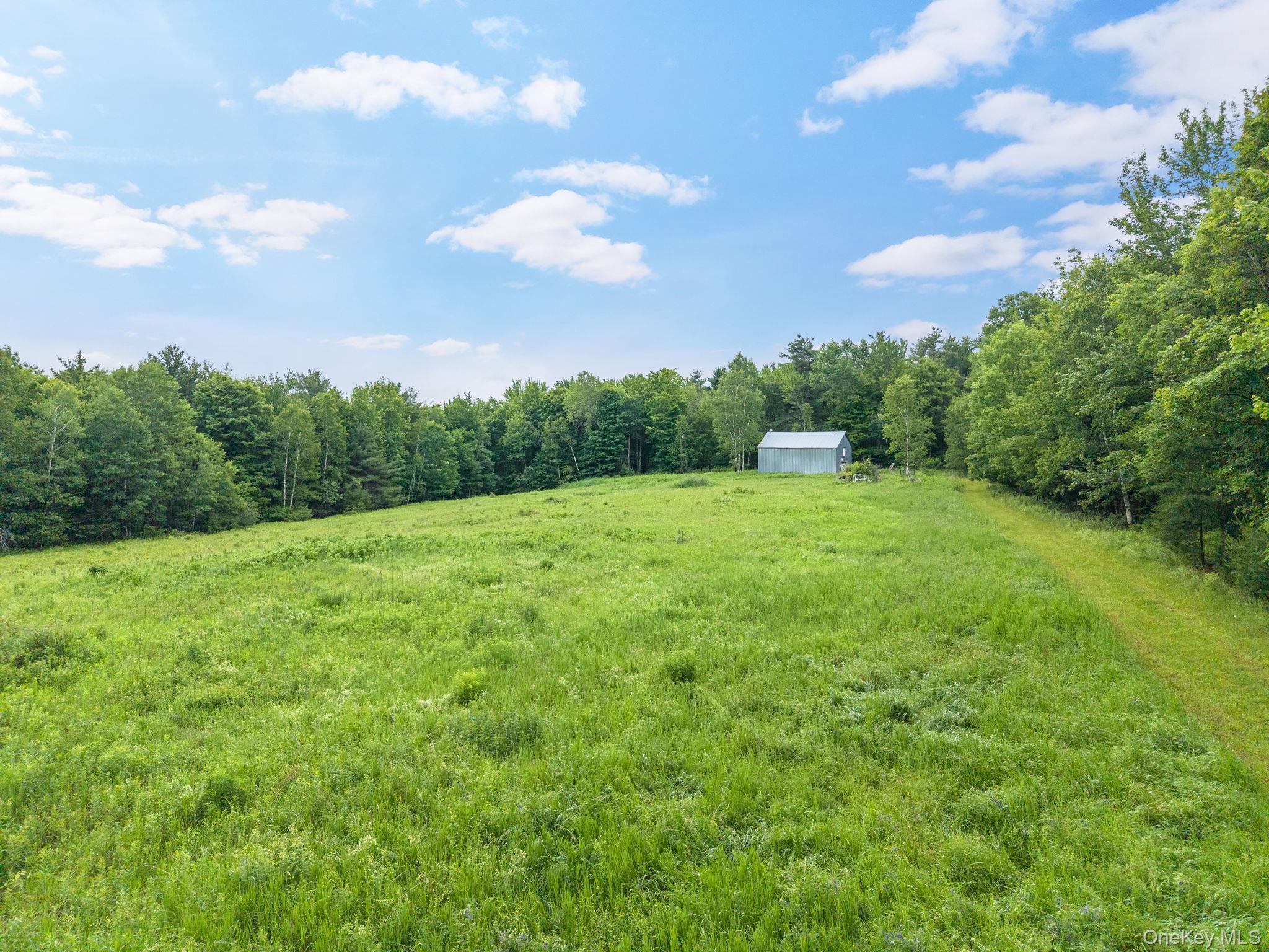 Single Family Ely Rd, Gilboa Ny Out Of Area, NY 12076, MLS-1019232-42