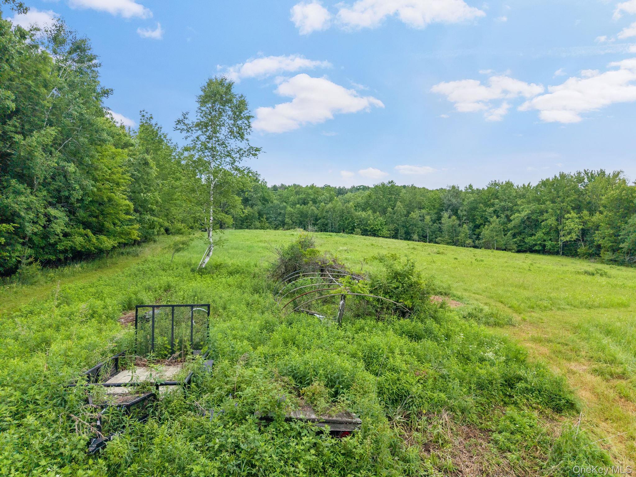 Single Family Ely Rd, Gilboa Ny Out Of Area, NY 12076, MLS-1019232-44