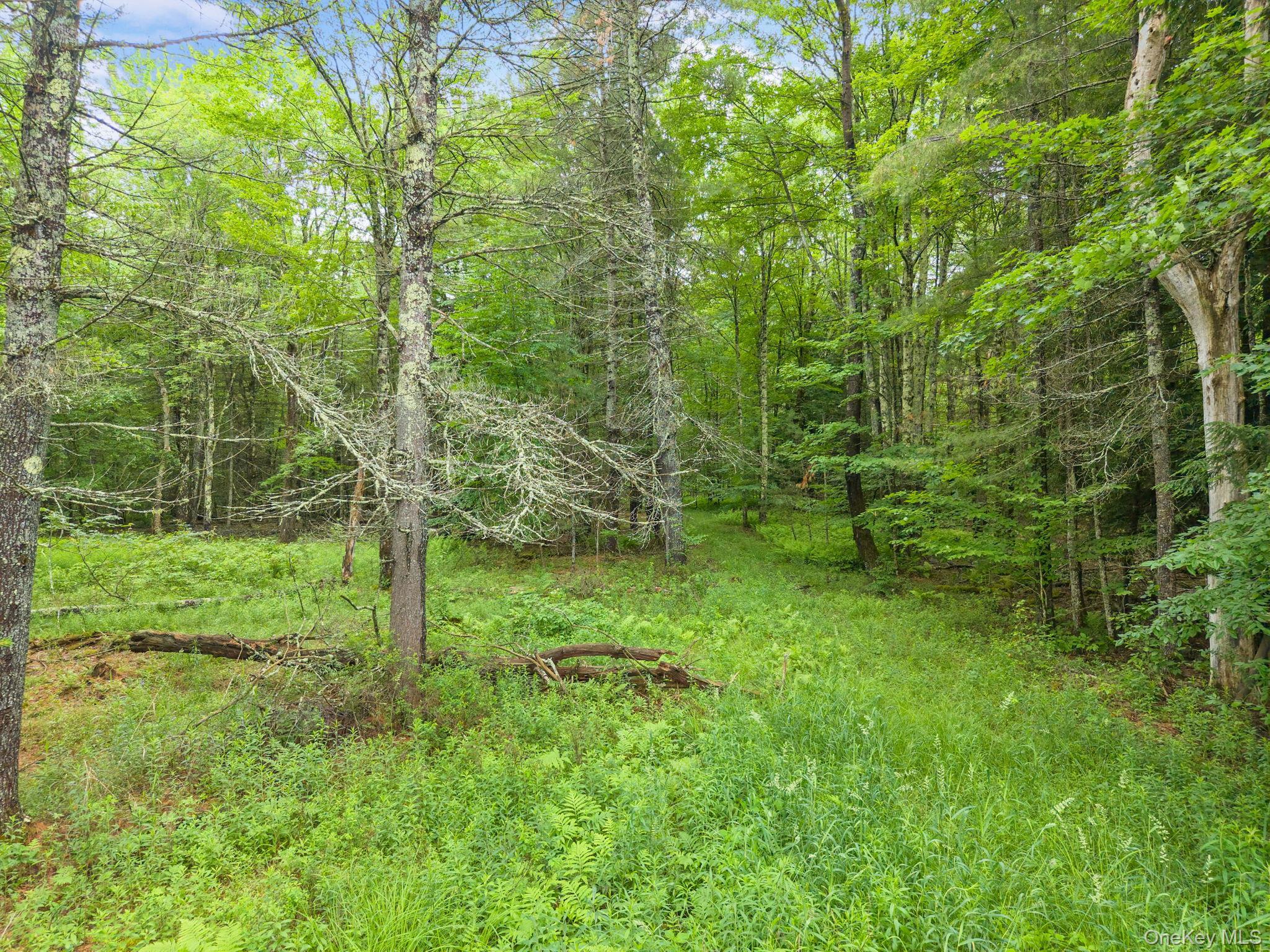 Single Family Ely Rd, Gilboa Ny Out Of Area, NY 12076, MLS-1019232-45