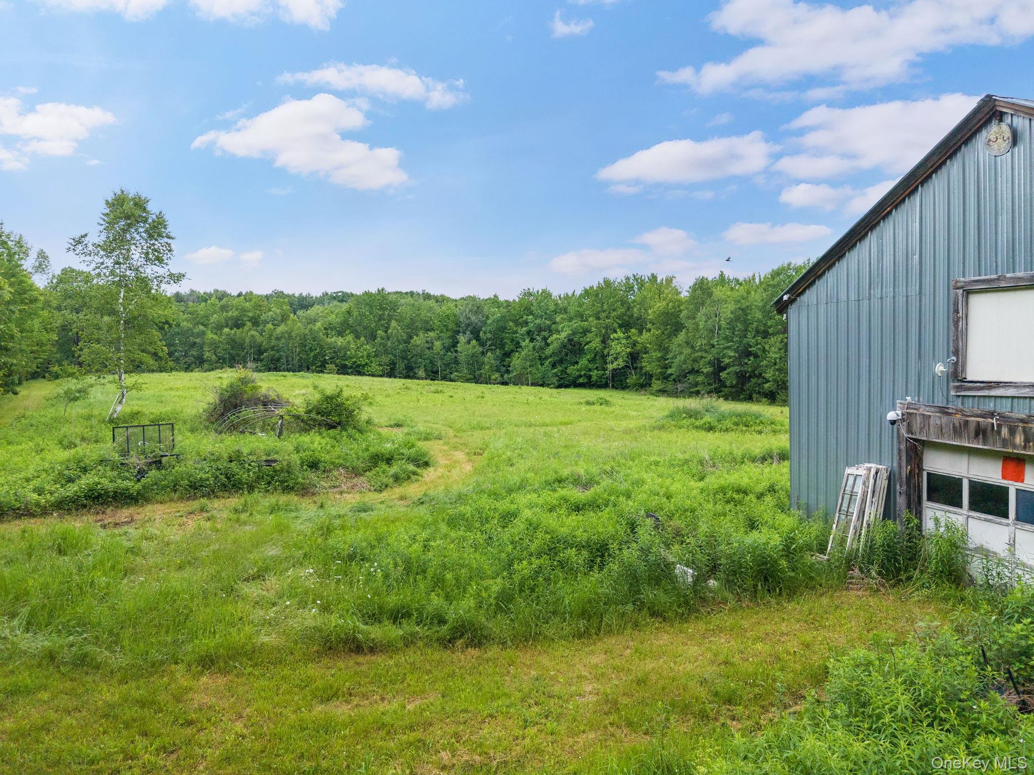 Single Family Ely Rd, Gilboa Ny Out Of Area, NY 12076, MLS-1019232-46