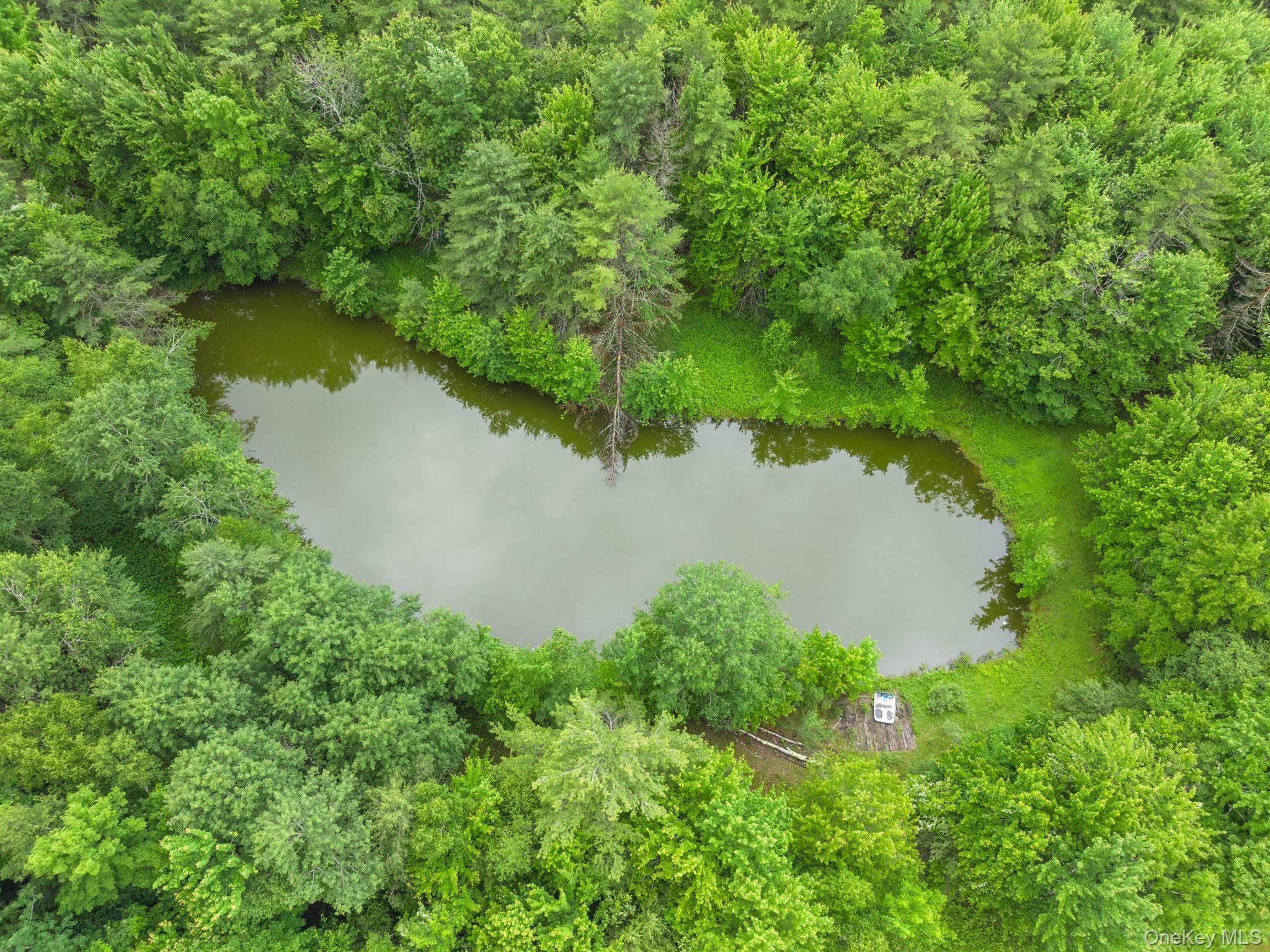 Single Family Ely Rd, Gilboa Ny Out Of Area, NY 12076, MLS-1019232-47