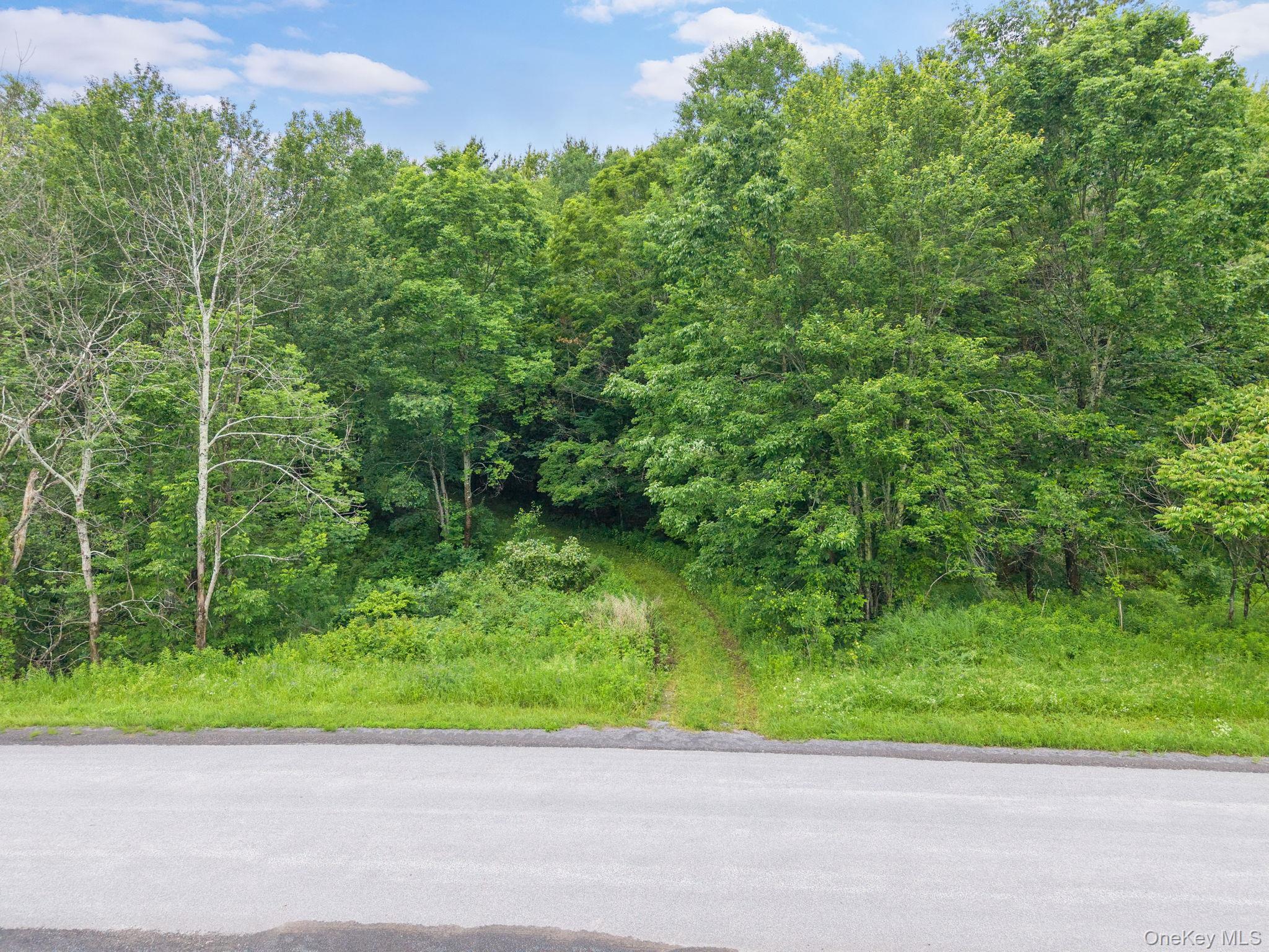 Single Family Ely Rd, Gilboa Ny Out Of Area, NY 12076, MLS-1019232-48