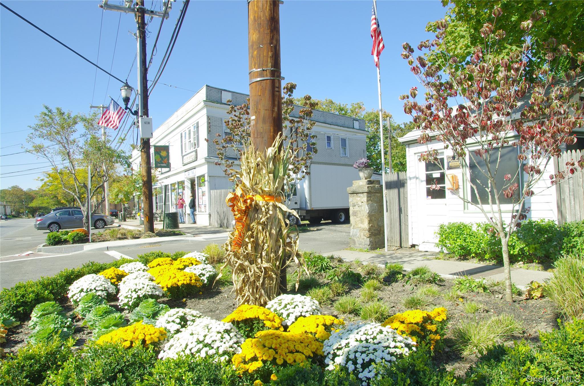 Single Family Vine Street  Nassau County, NY 11709, MLS-1019252-43