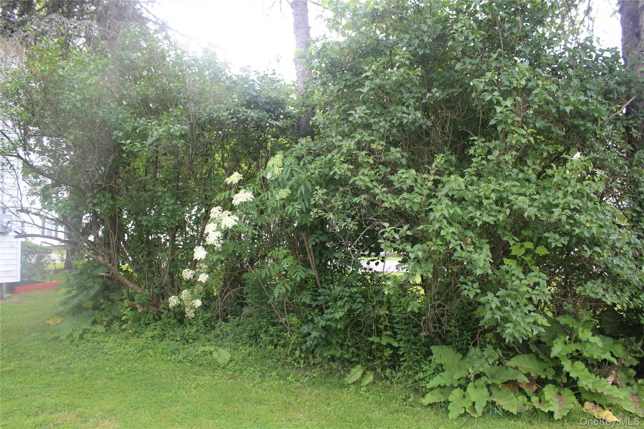 Single Family Rockland Road Sullivan County, NY 12776, MLS-1019278-7