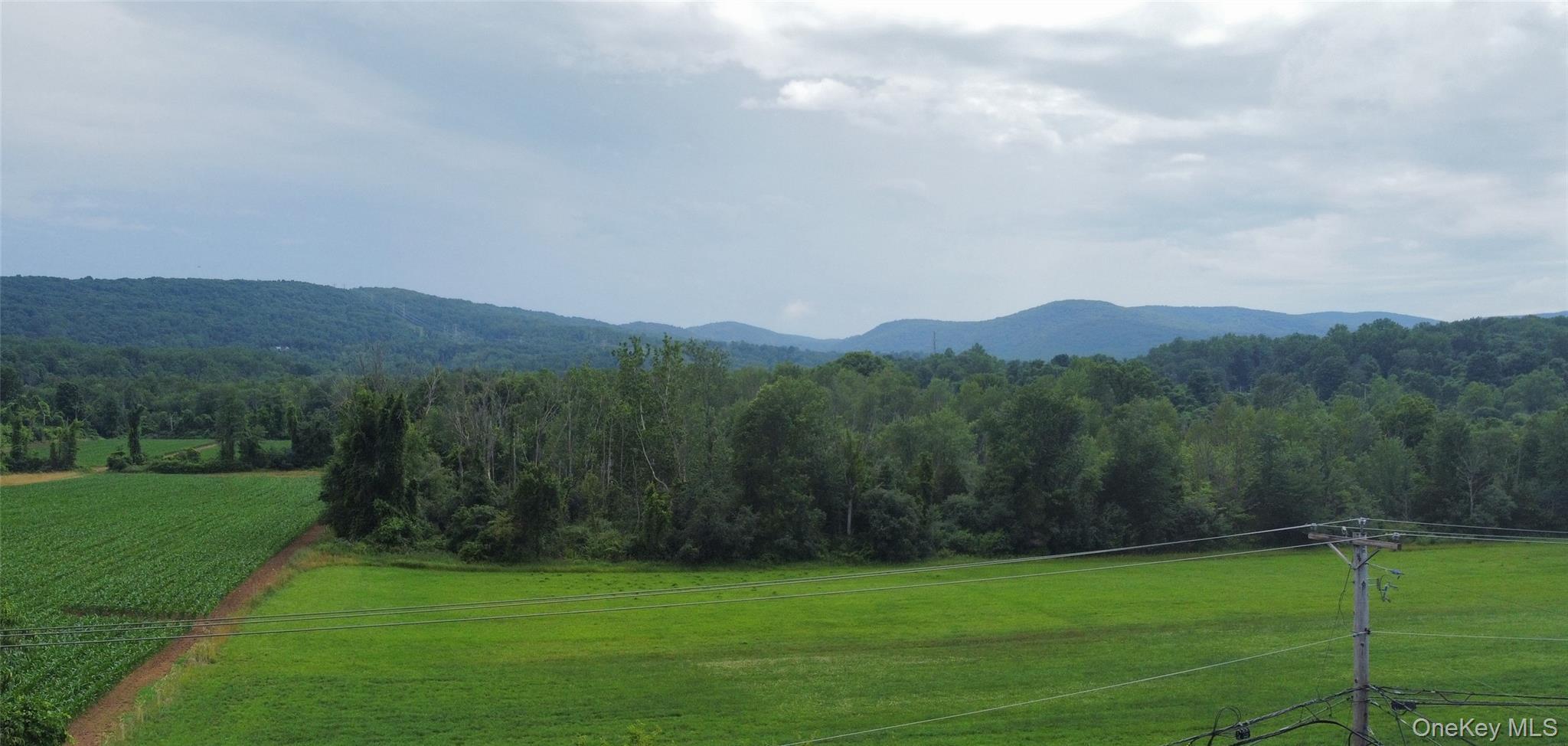 Single Family Blue Hill Road Dutchess County, NY 12533, MLS-1019314-3