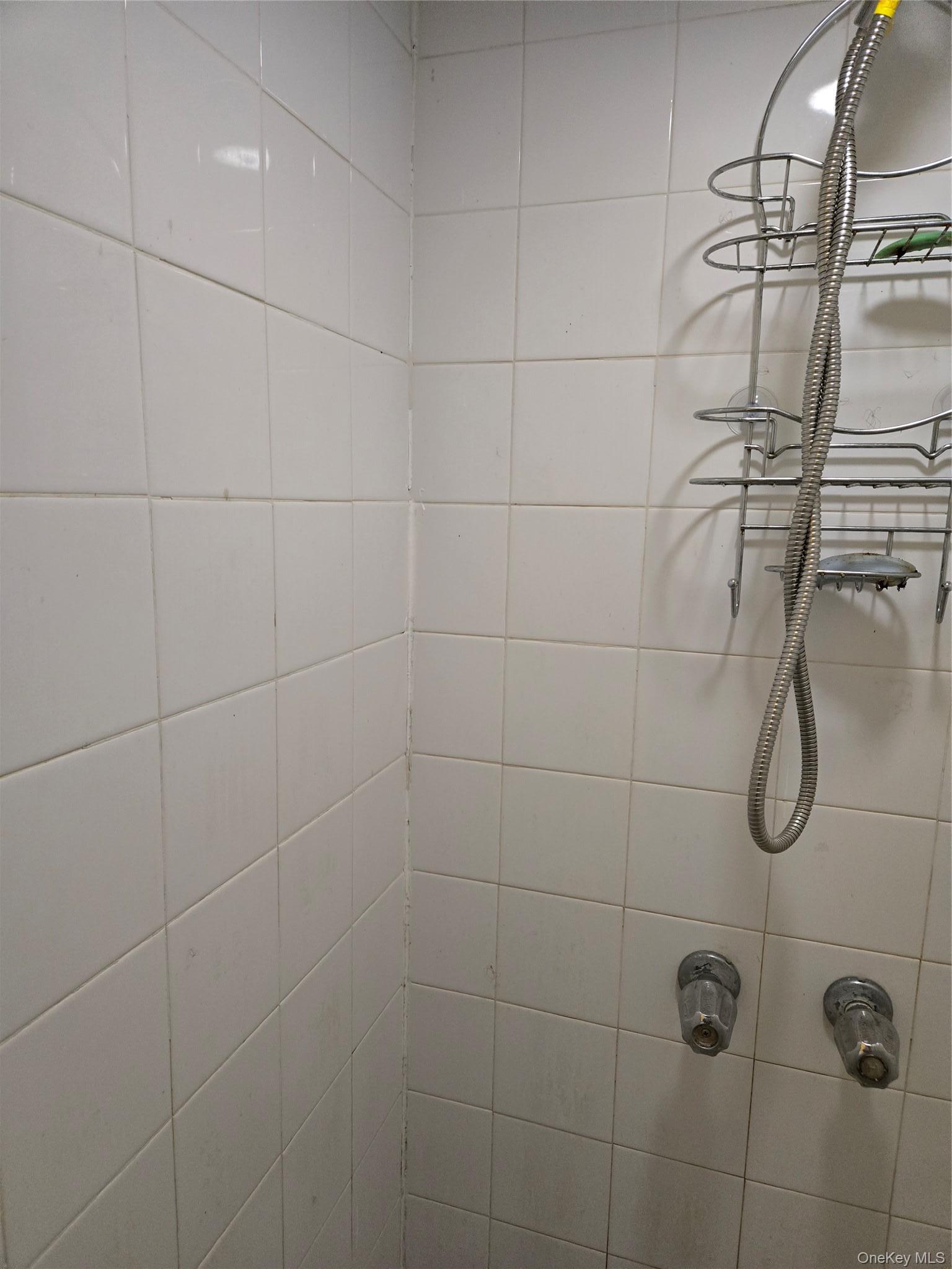 Single Family 102nd Avenue Queens, NY 11435, MLS-1019321-13