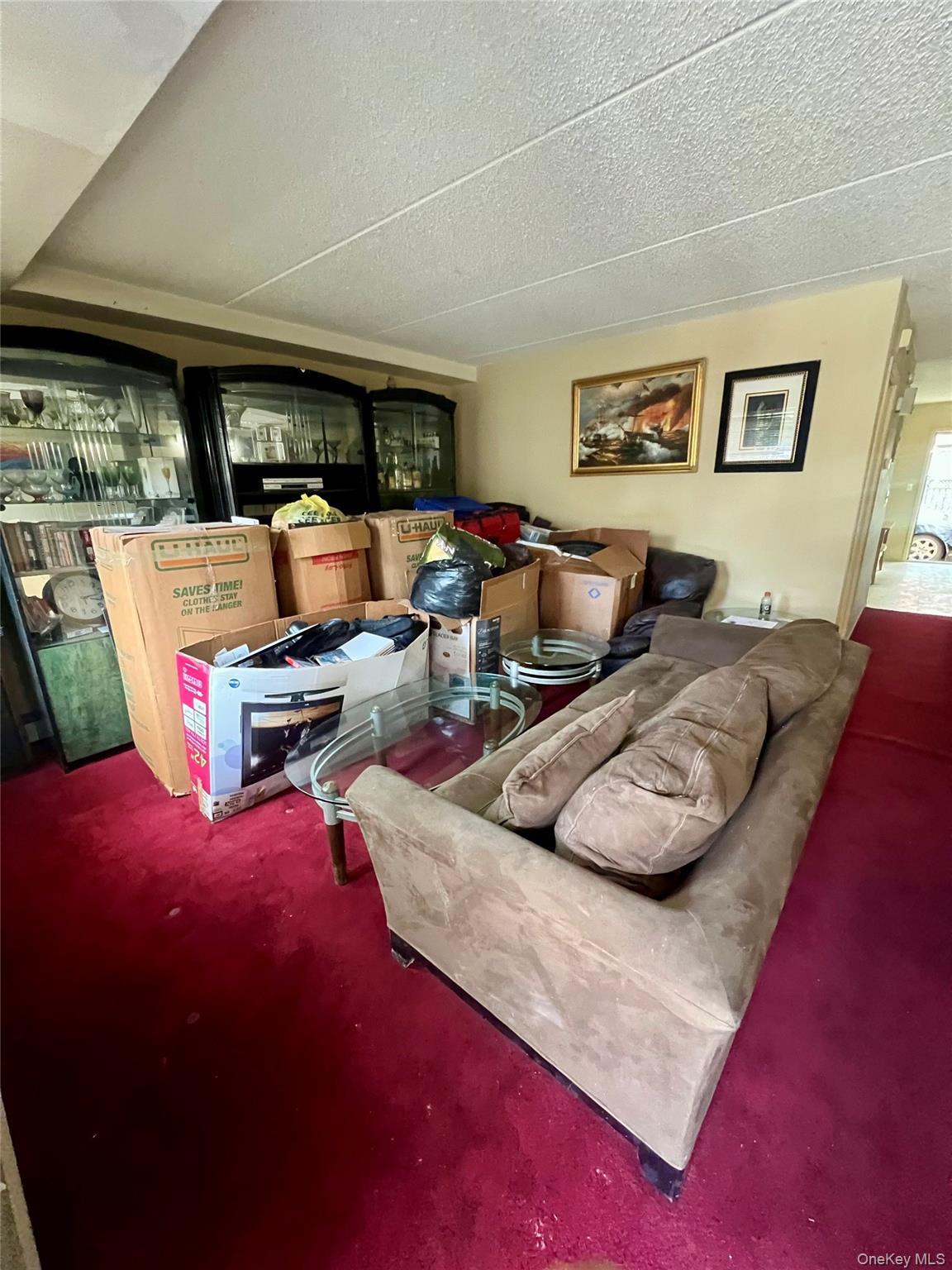 Single Family E 179th Street Bronx, NY 10457, MLS-1019354-6