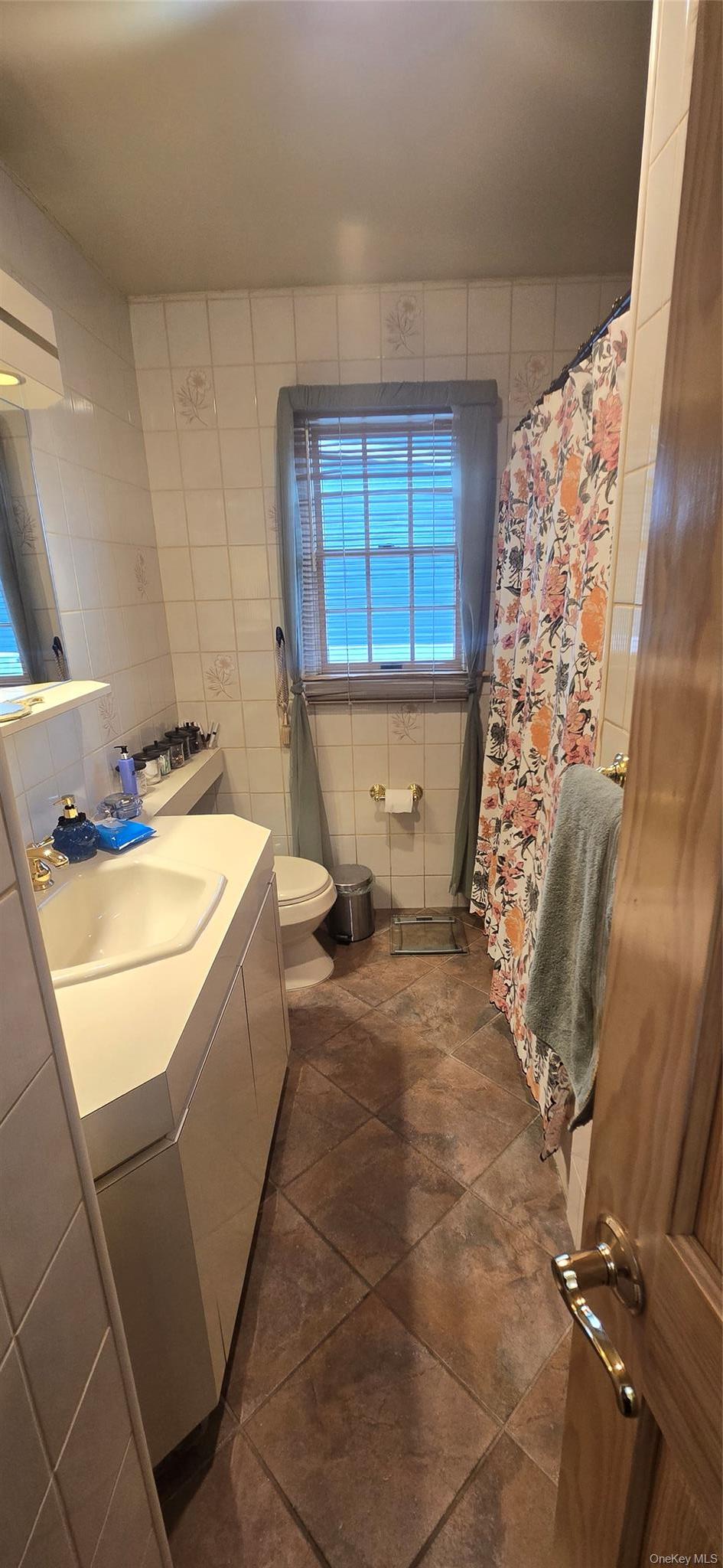 Single Family Virginia Avenue Nassau County, NY 11710, MLS-1019377-12