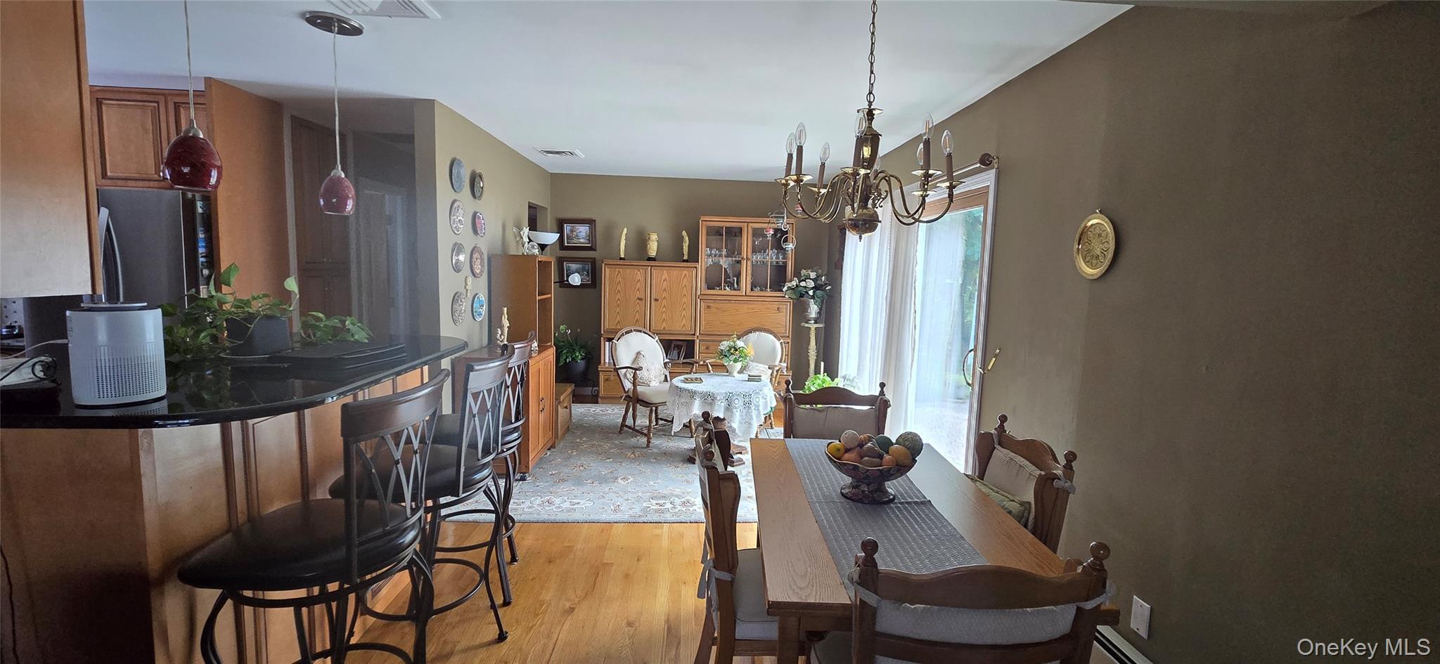 Single Family Virginia Avenue Nassau County, NY 11710, MLS-1019377-9