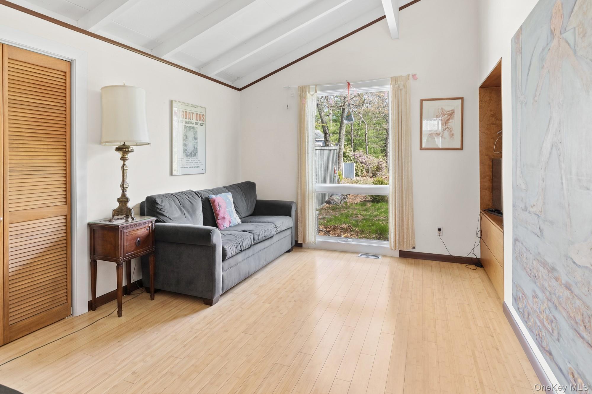 Single Family Two Holes Water Road  Suffolk County, NY 11937, MLS-1019417-10
