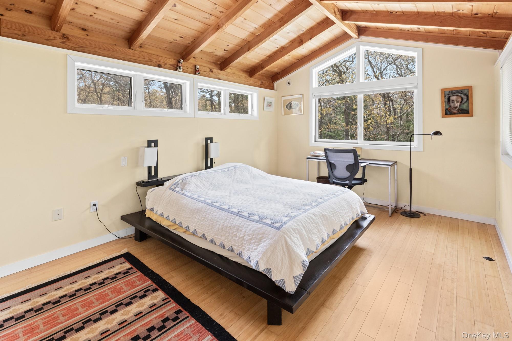 Single Family Two Holes Water Road  Suffolk County, NY 11937, MLS-1019417-16