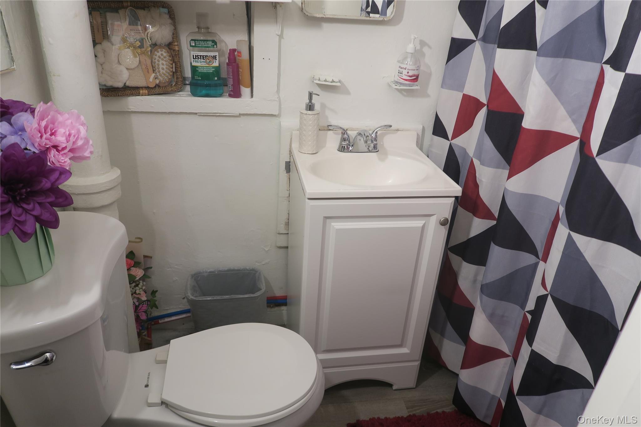 Single Family Carter Street Orange County, NY 12550, MLS-1019419-9