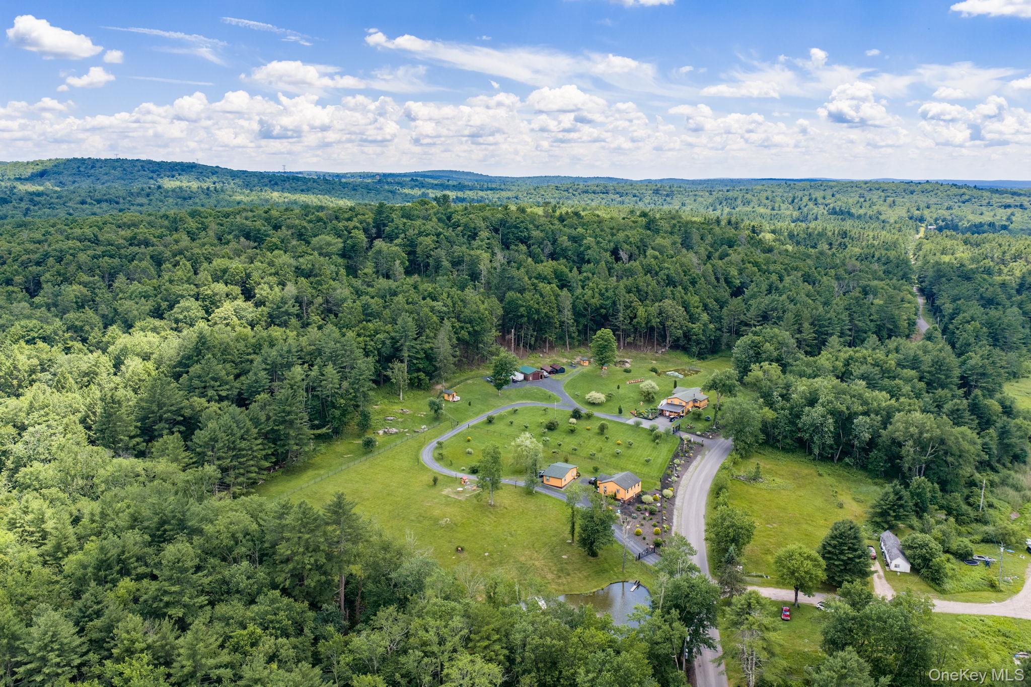 Single Family S Maplewood Road  Sullivan County, NY 12701, MLS-1019474-24