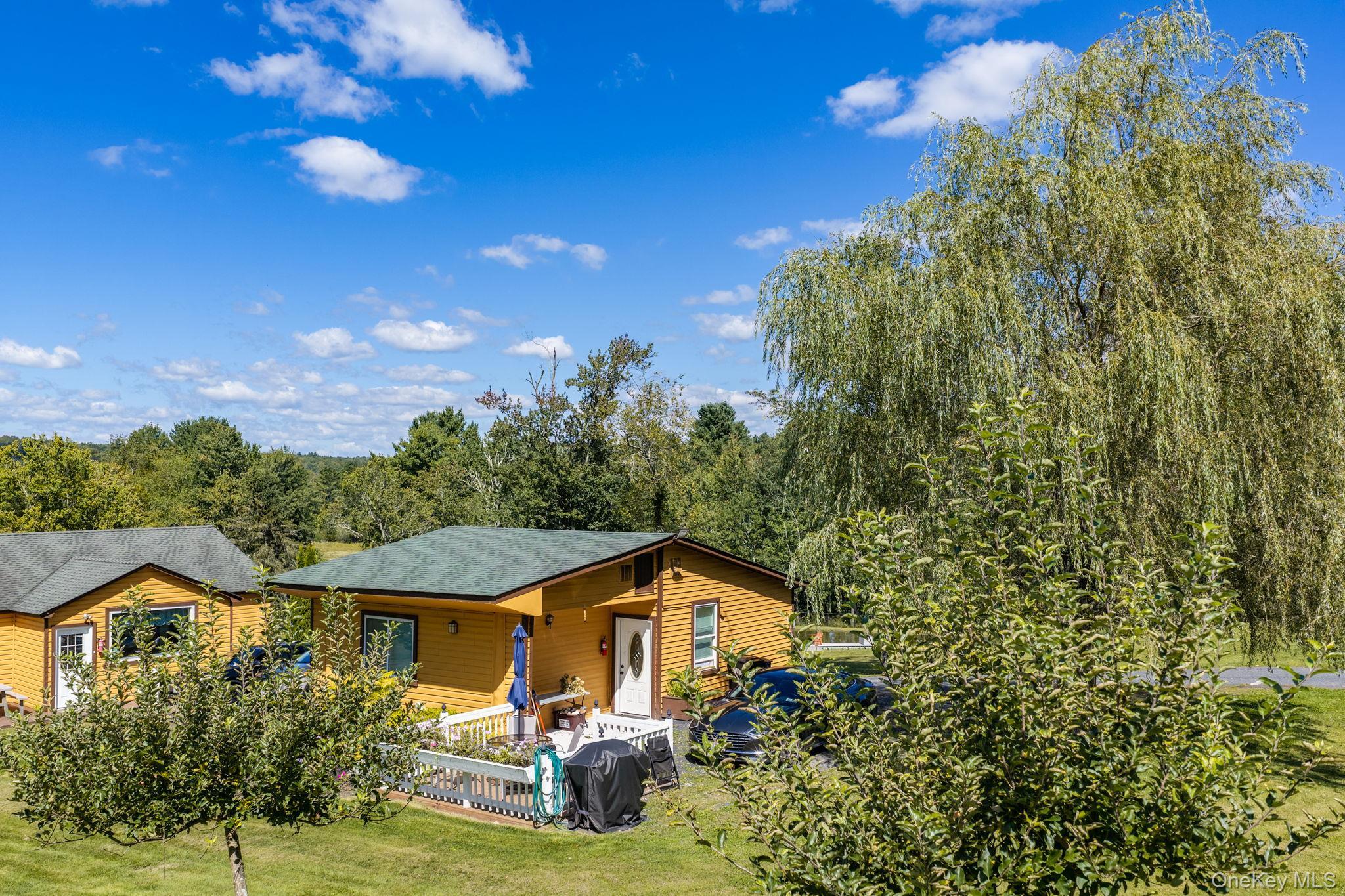 Single Family S Maplewood Road  Sullivan County, NY 12701, MLS-1019474-49