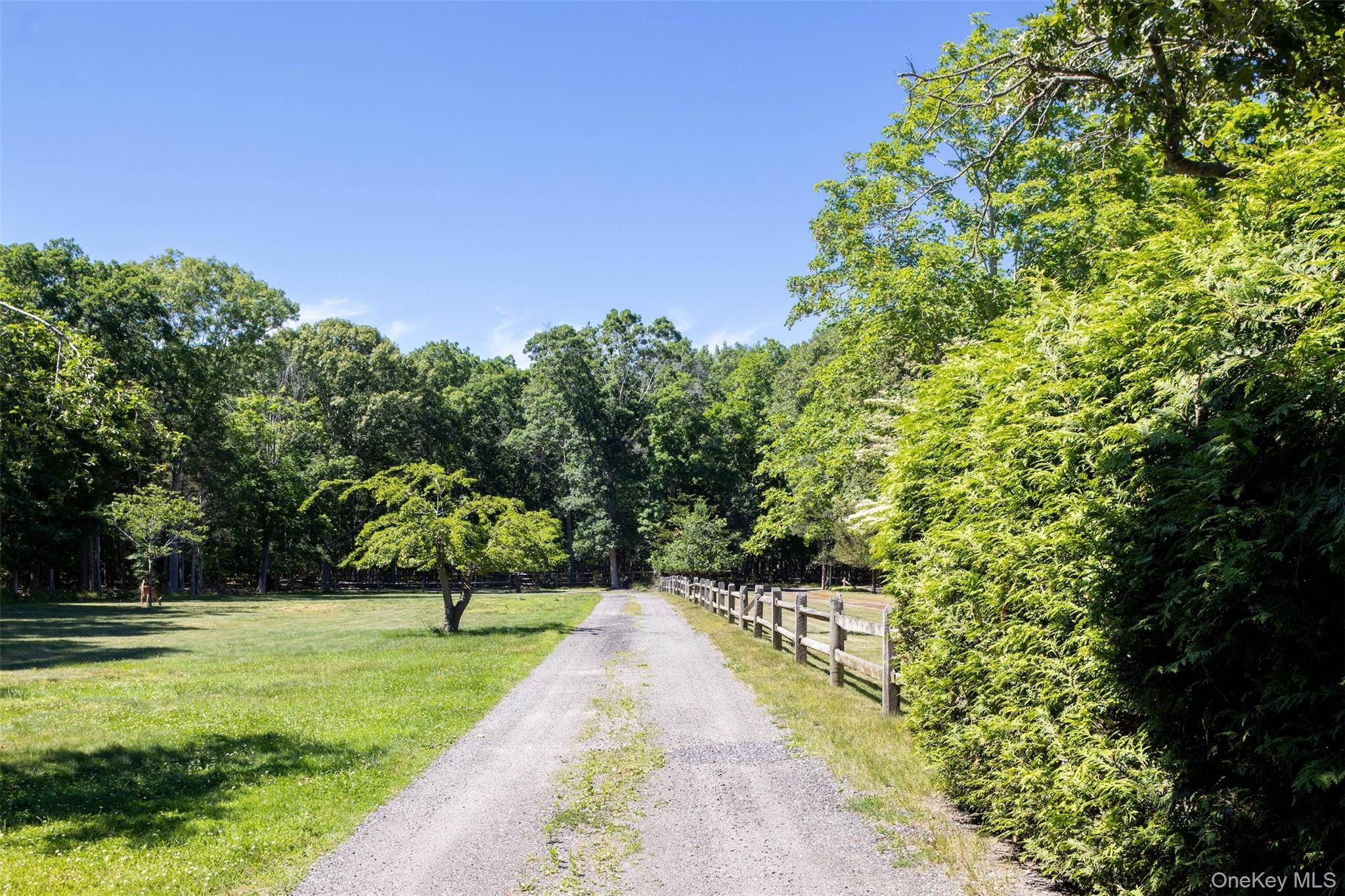 Single Family Terry Path Suffolk County, NY 11952, MLS-1019513-6