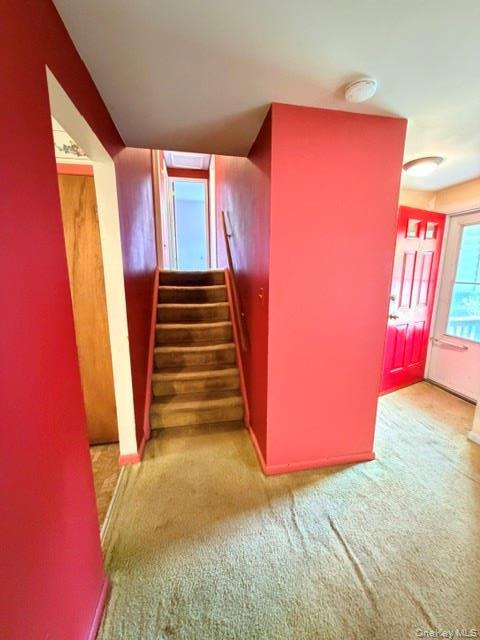 Single Family Jansen Road Ulster County, NY 12561, MLS-1019514-14