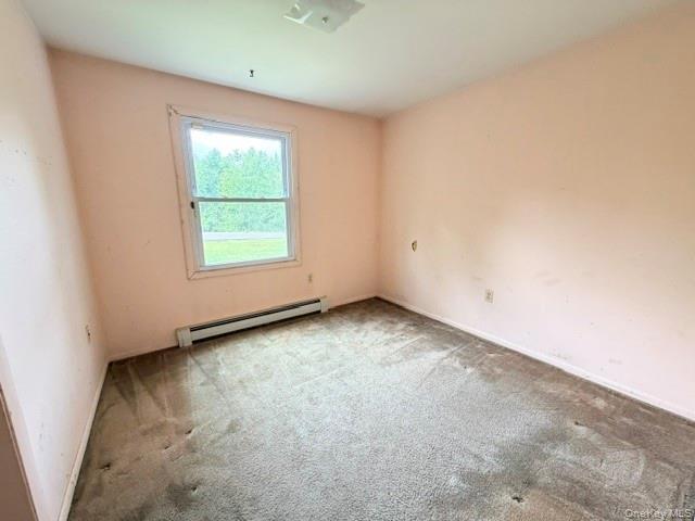Single Family Jansen Road Ulster County, NY 12561, MLS-1019514-17
