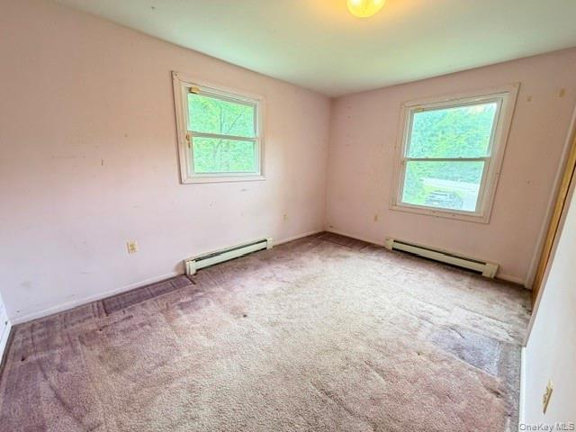 Single Family Jansen Road Ulster County, NY 12561, MLS-1019514-19