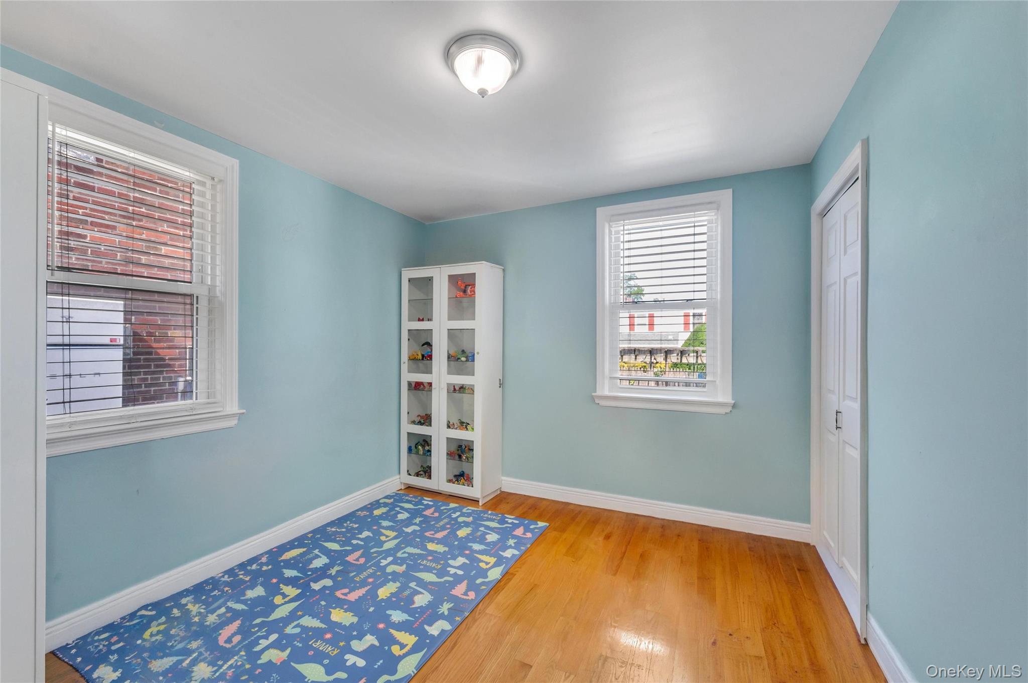 Single Family Rockaway Parkway Nassau County, NY 11580, MLS-1019546-12