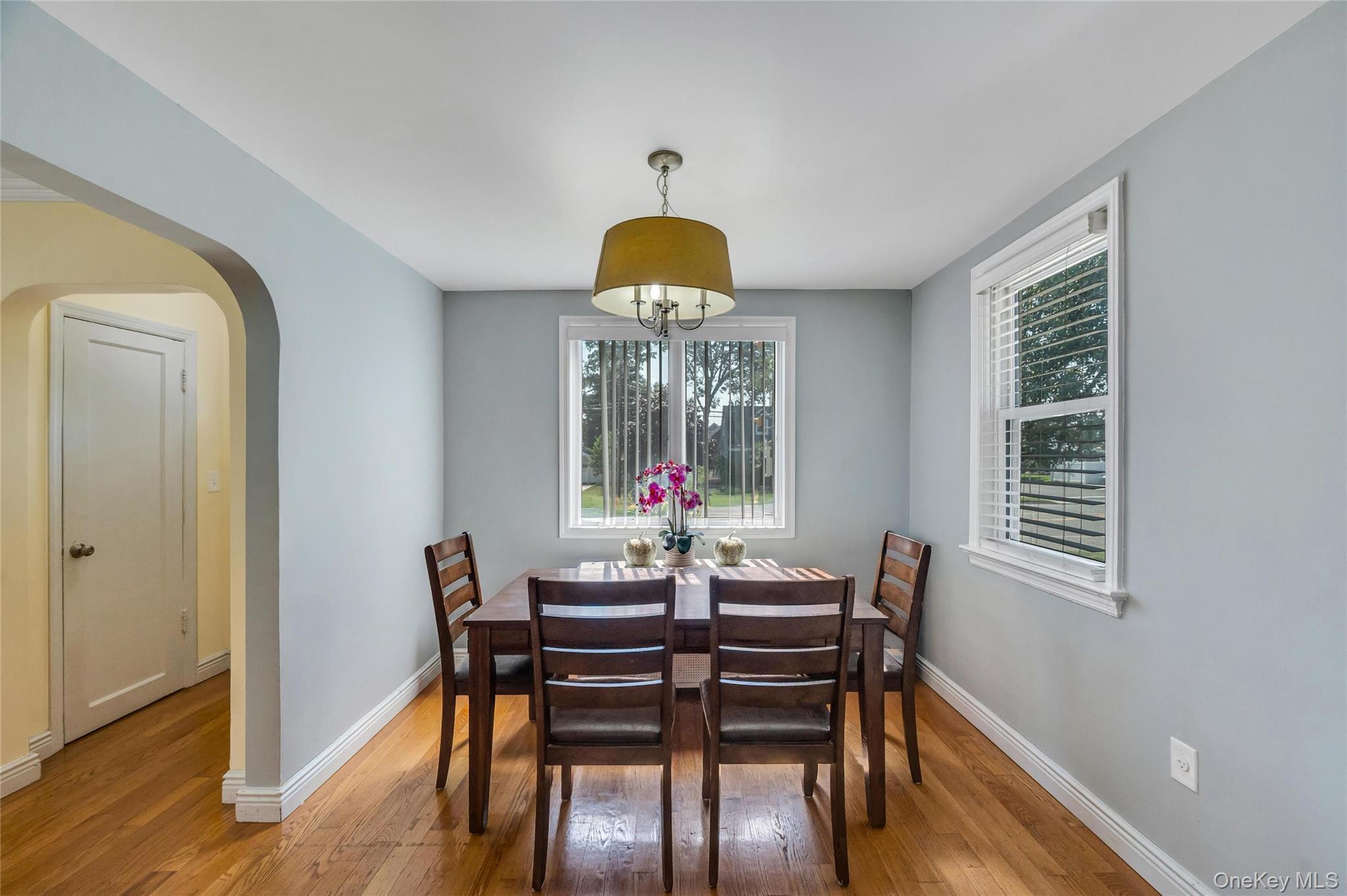 Single Family Rockaway Parkway Nassau County, NY 11580, MLS-1019546-7