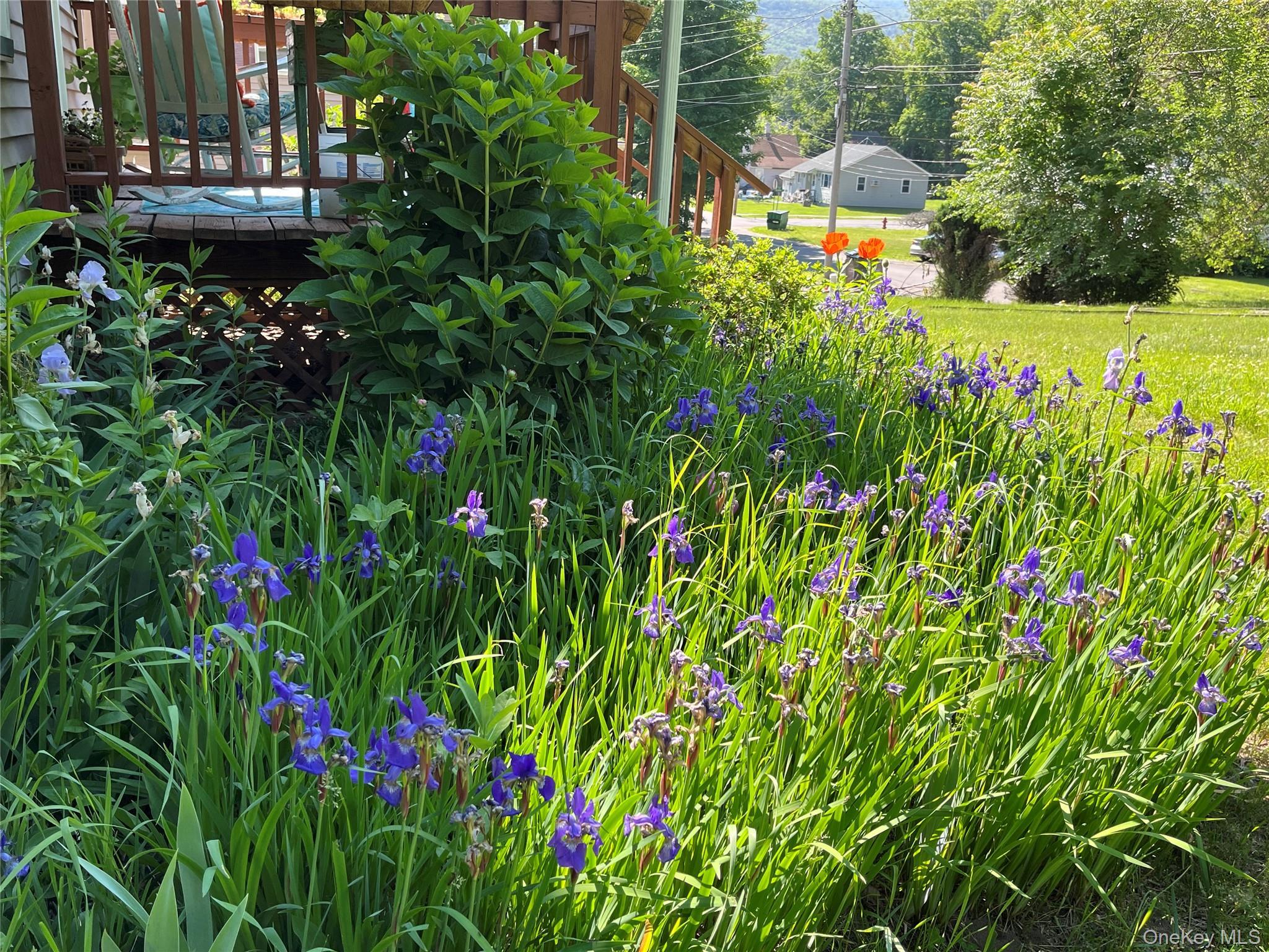 Single Family Spring Street  Ulster County, NY 12428, MLS-1019585-23