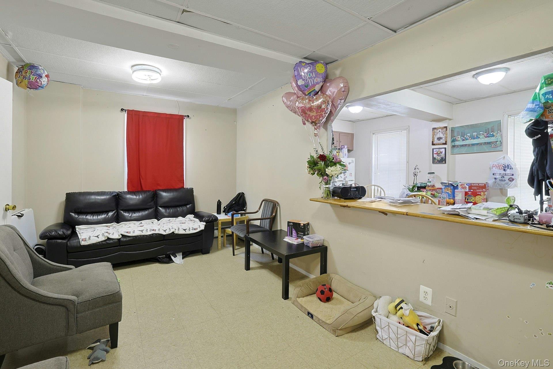 Single Family Ferris Avenue  Westchester County, NY 10603, MLS-1019625-3