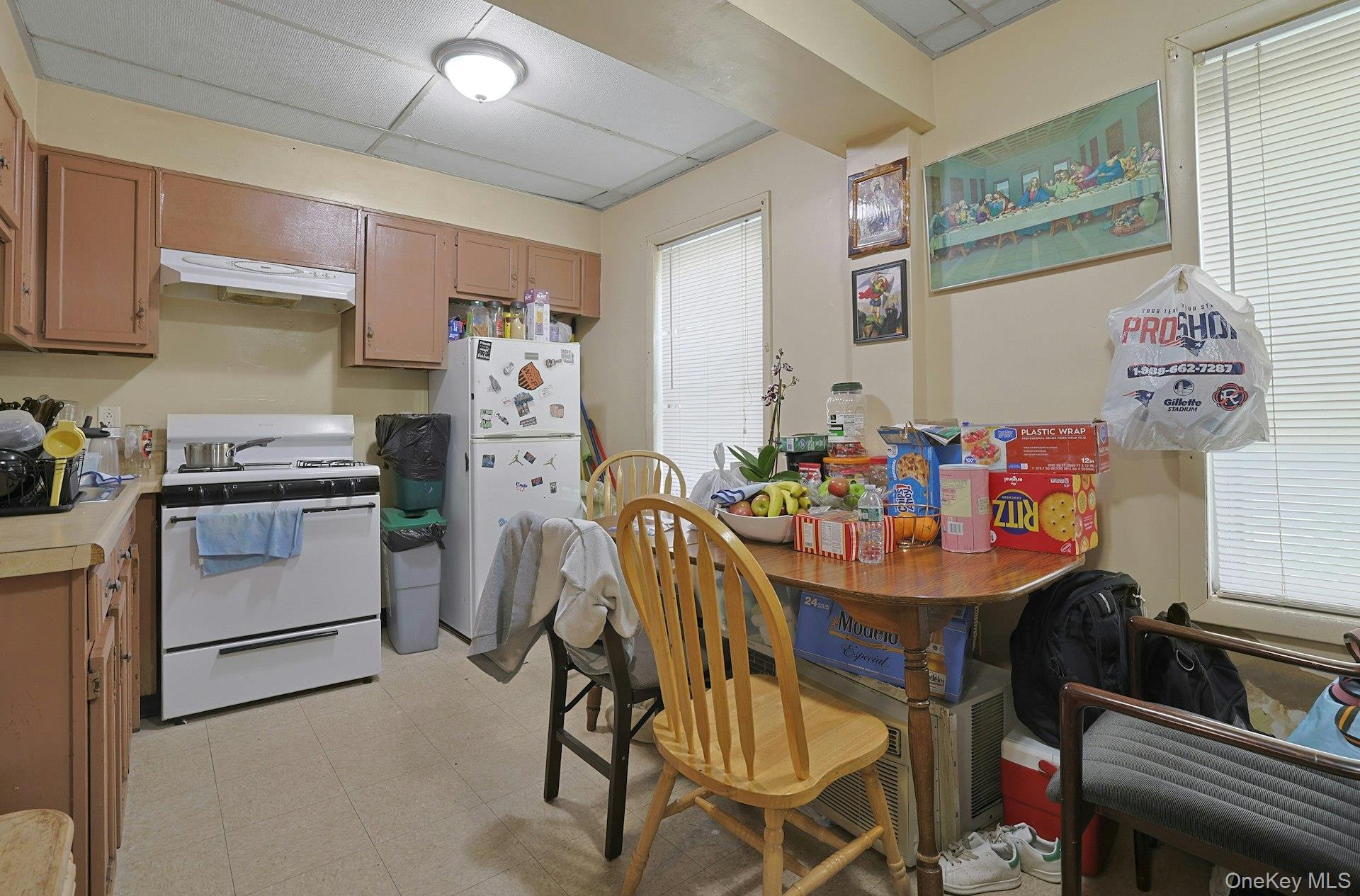Single Family Ferris Avenue  Westchester County, NY 10603, MLS-1019625-4