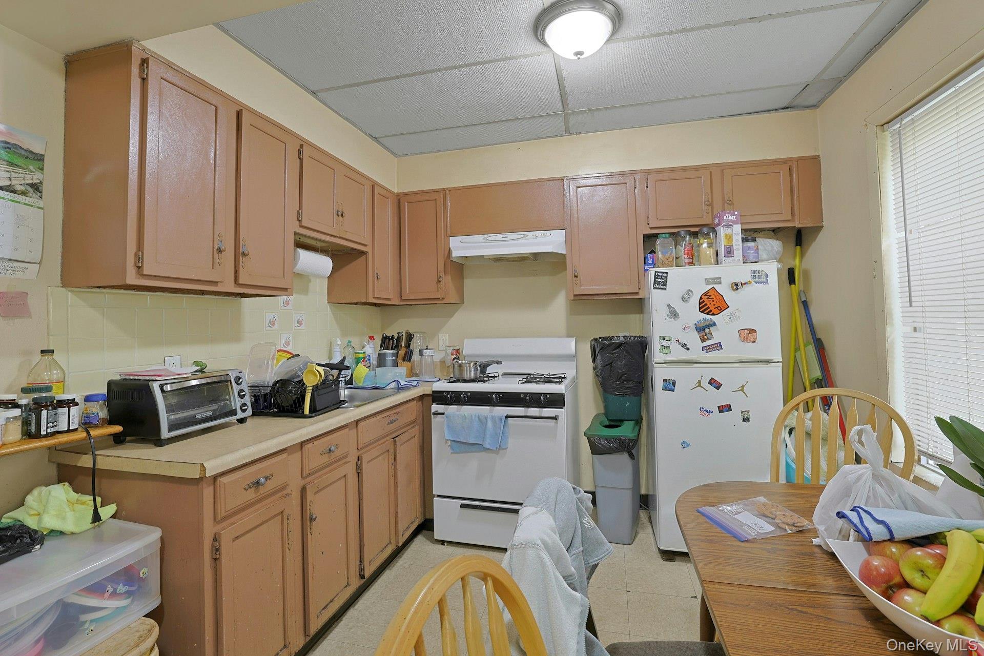 Single Family Ferris Avenue  Westchester County, NY 10603, MLS-1019625-5