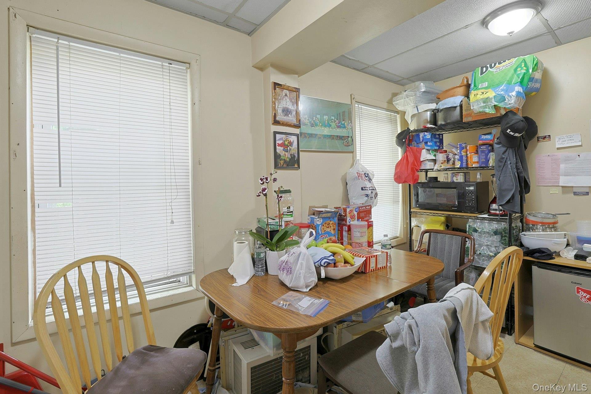 Single Family Ferris Avenue  Westchester County, NY 10603, MLS-1019625-6