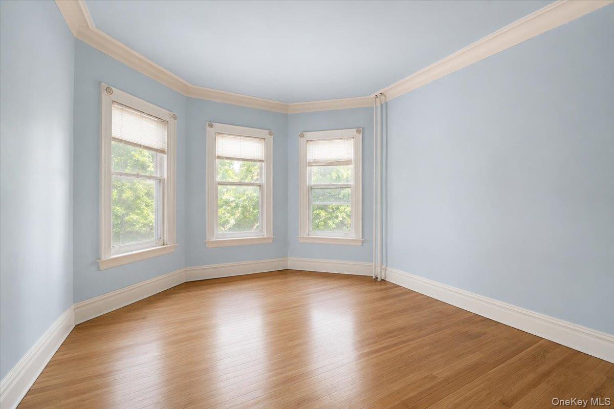 Single Family E 24th Street Brooklyn, NY 11210, MLS-1019626-12