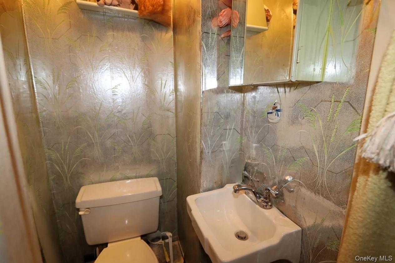 Single Family Wilder Avenue Bronx, NY 10466, MLS-1019640-7