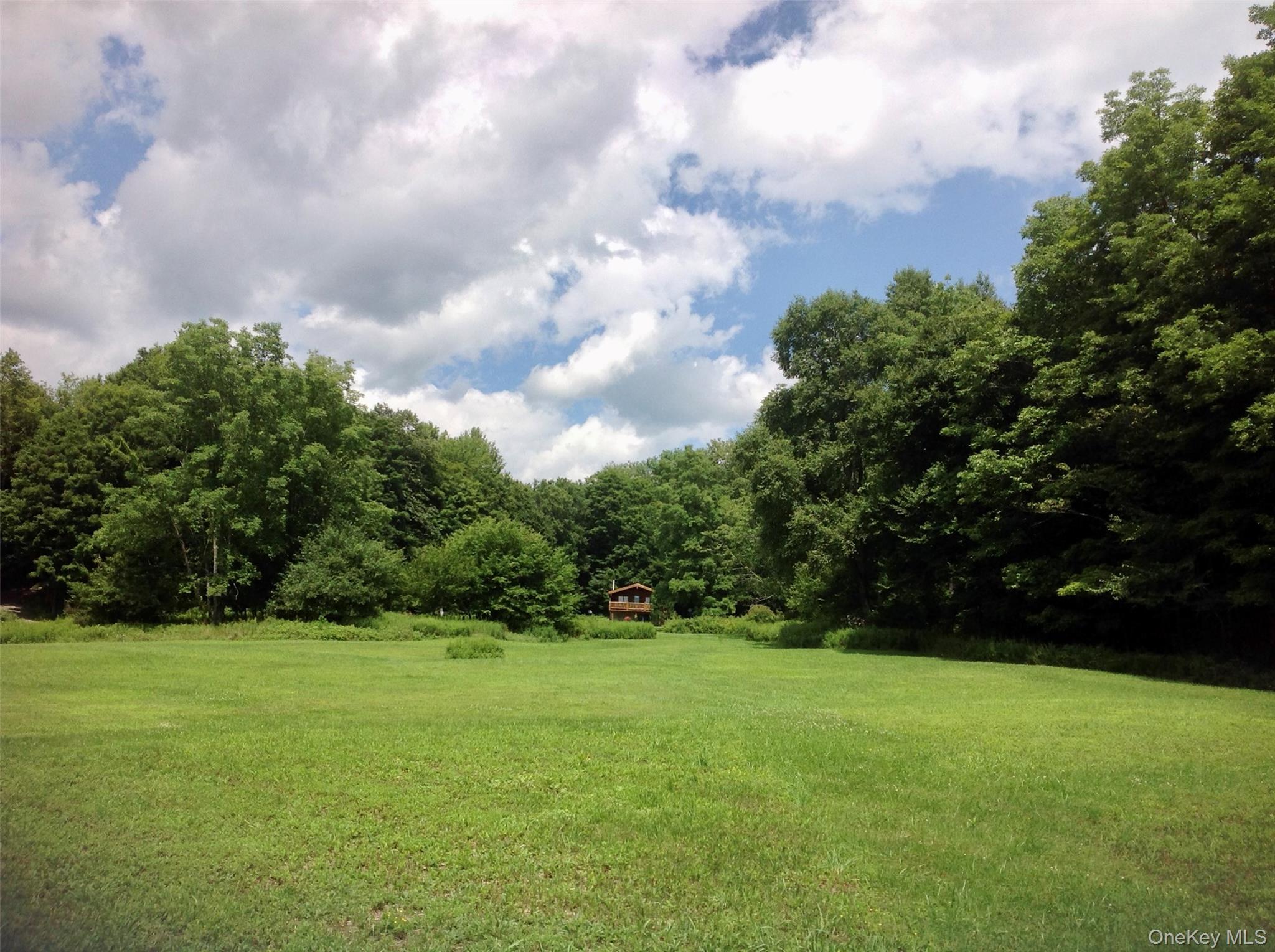 Single Family Milton Smith Road Delaware County, NY 12760, MLS-1019657-17