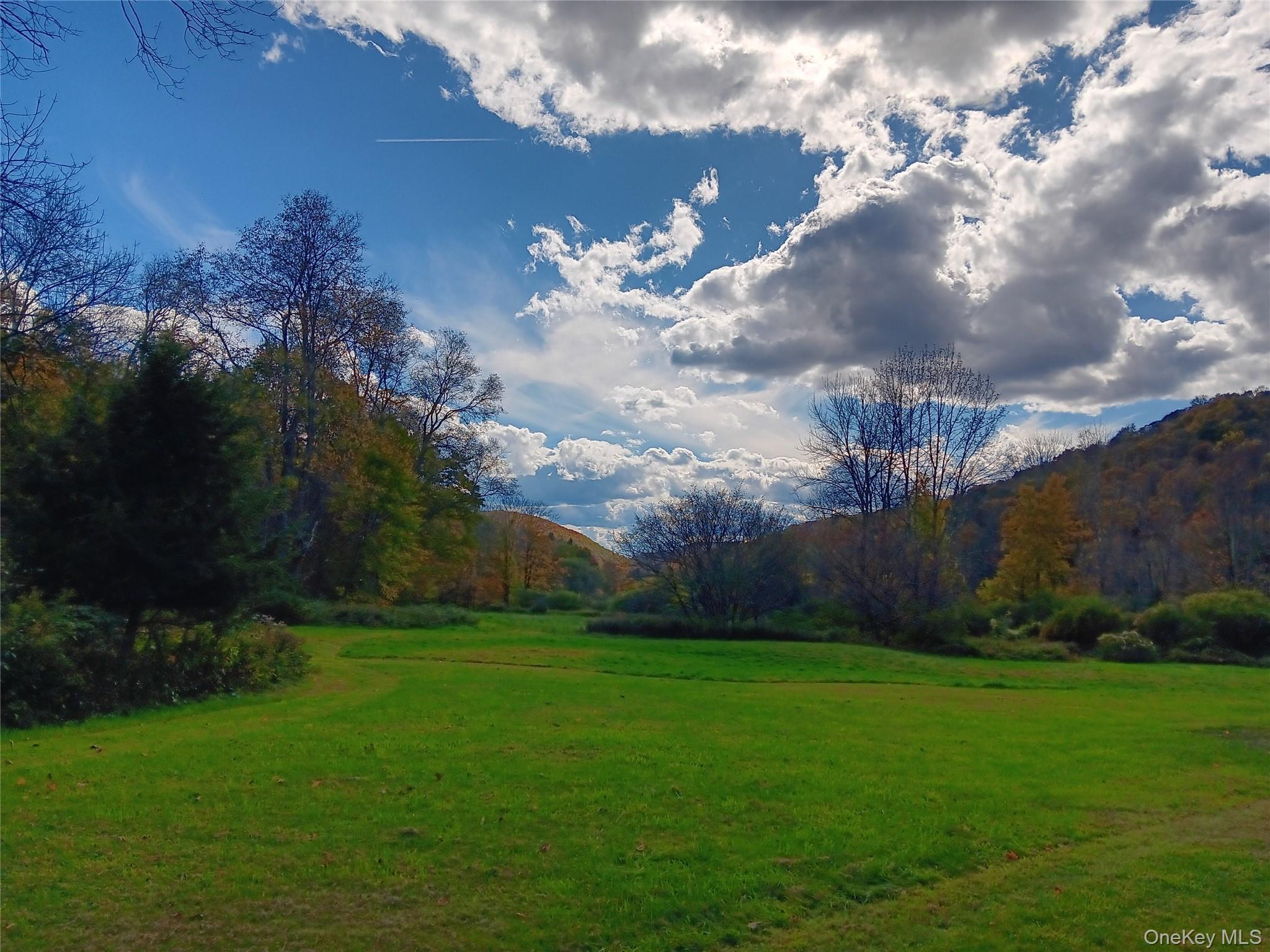 Single Family Milton Smith Road Delaware County, NY 12760, MLS-1019657-18