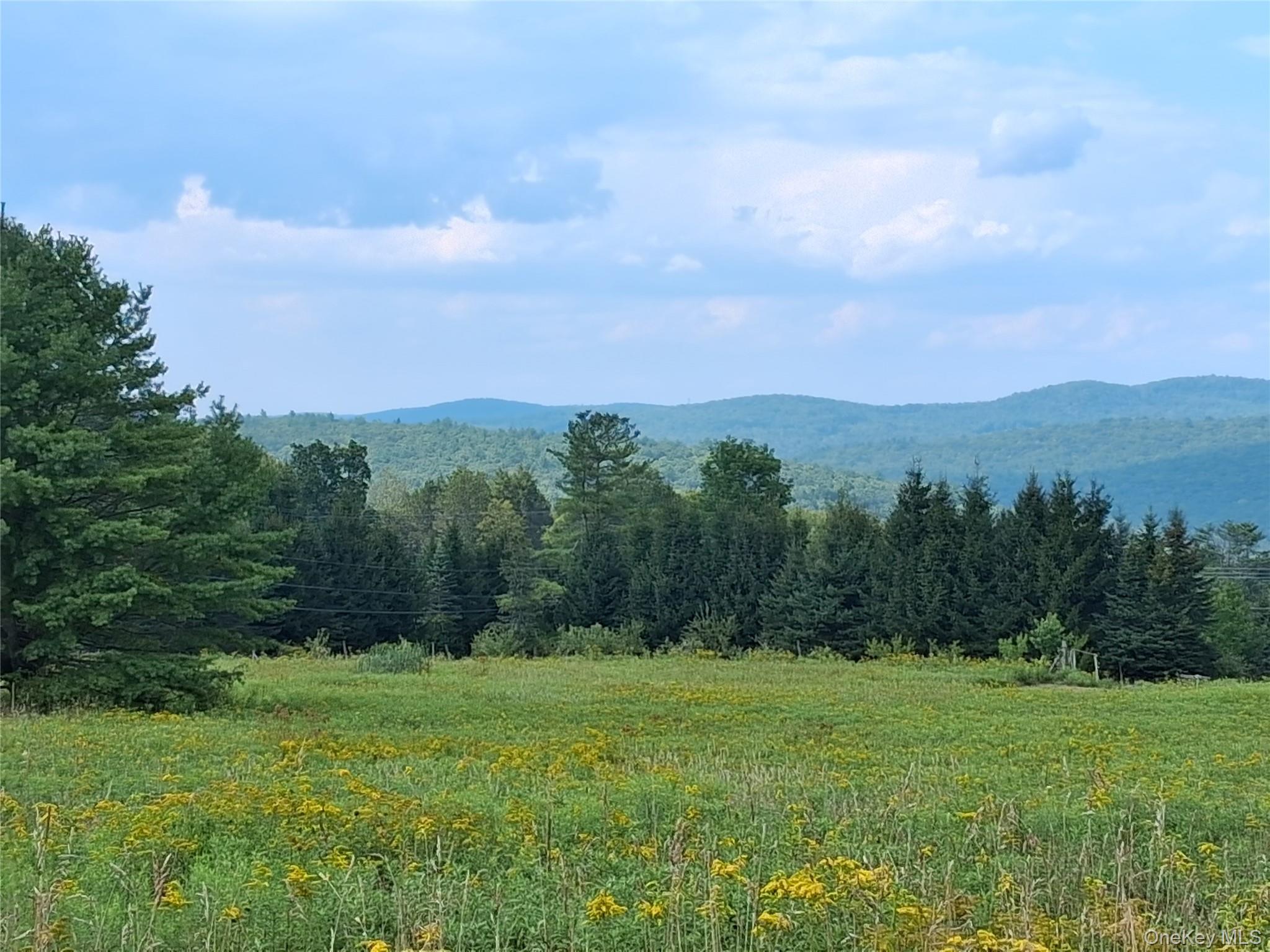 Single Family Milton Smith Road Delaware County, NY 12760, MLS-1019657-19