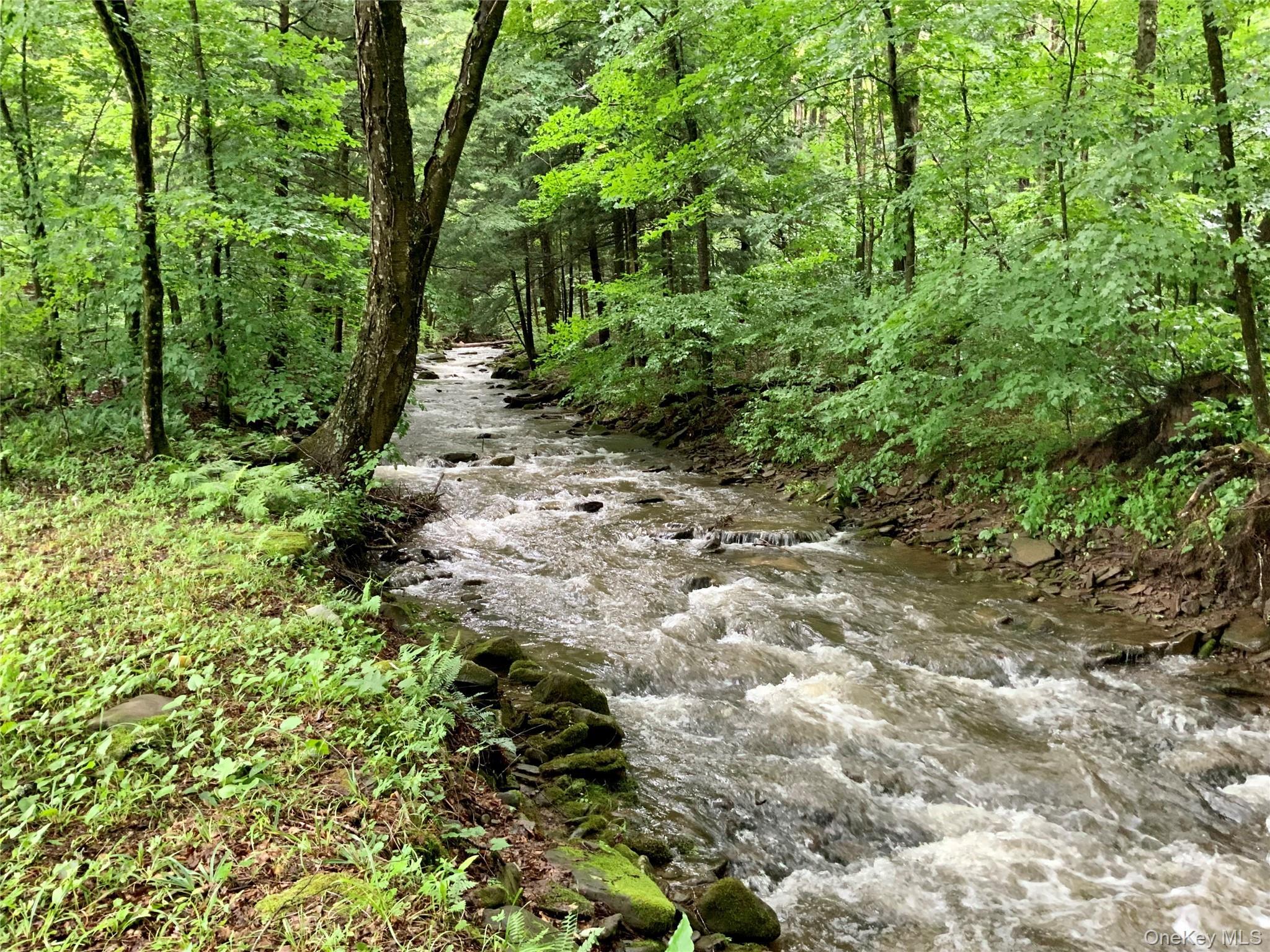 Single Family Milton Smith Road Delaware County, NY 12760, MLS-1019657-21