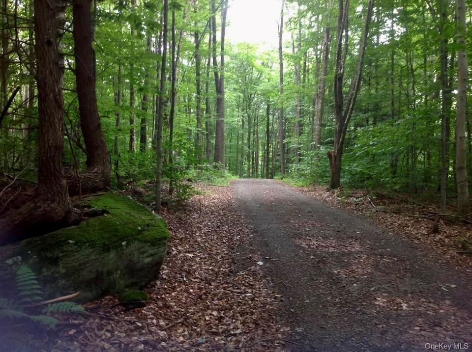 Single Family Milton Smith Road Delaware County, NY 12760, MLS-1019657-22