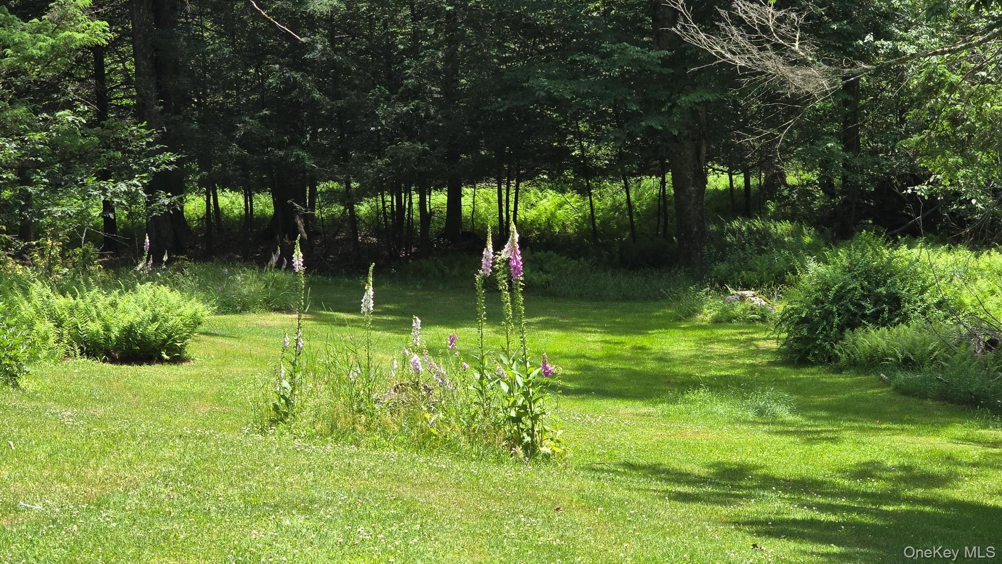 Single Family Barton Road  Sullivan County, NY 12754, MLS-1019665-15