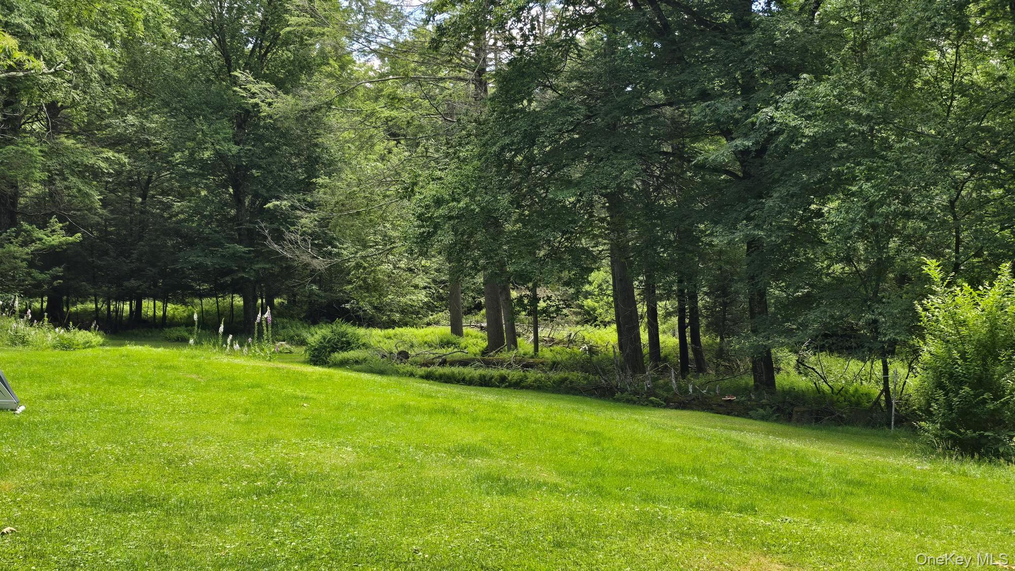 Single Family Barton Road  Sullivan County, NY 12754, MLS-1019665-17