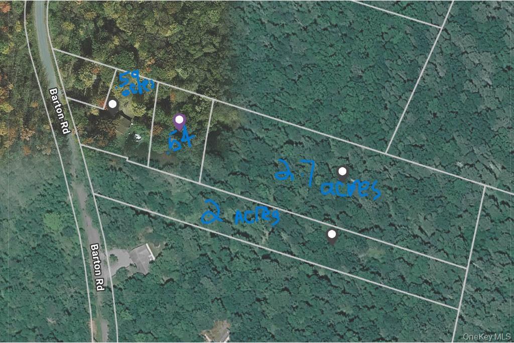 Single Family Barton Road  Sullivan County, NY 12754, MLS-1019665-18