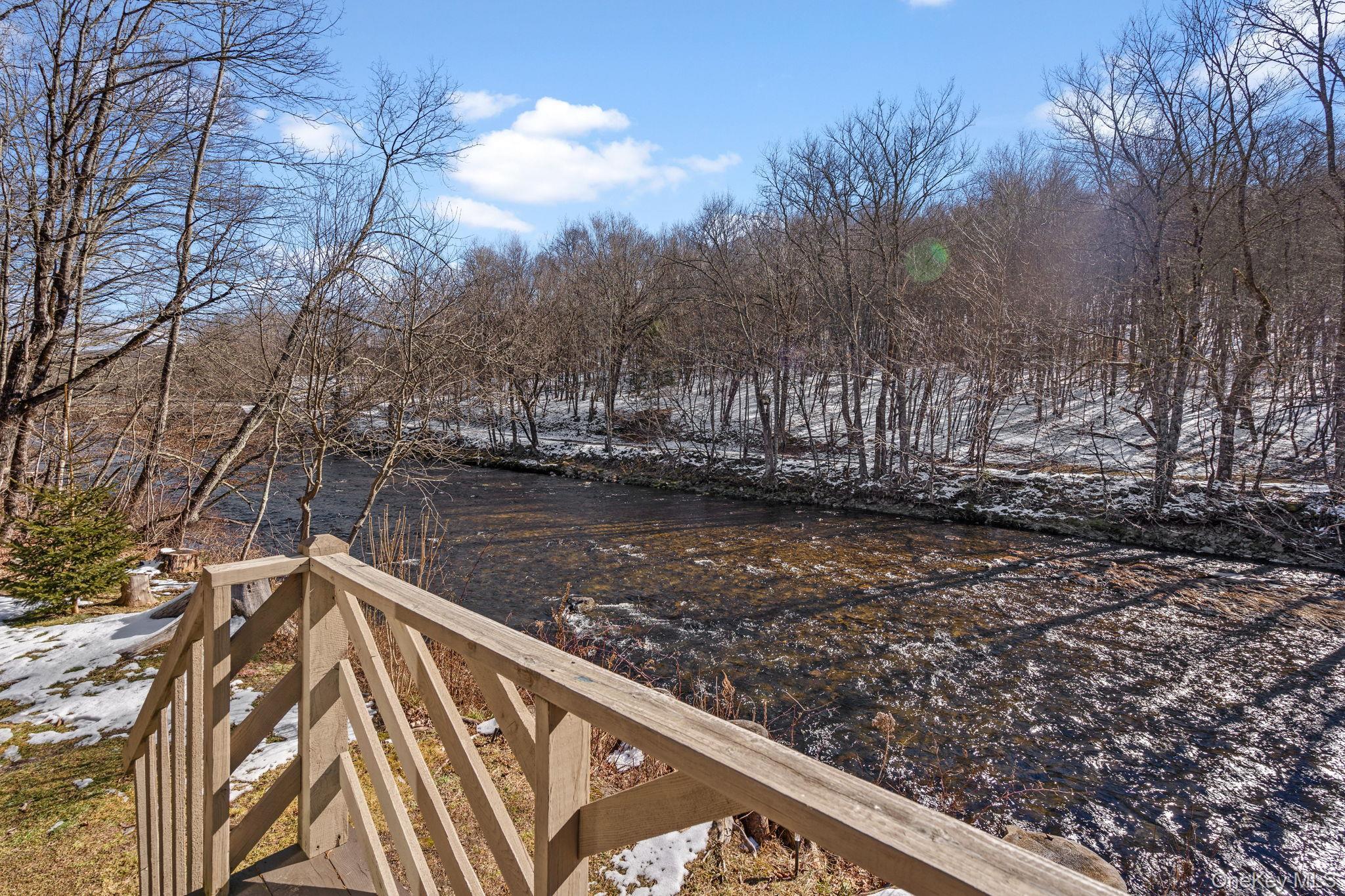 Single Family Debruce Road  Sullivan County, NY 12758, MLS-1019677-10