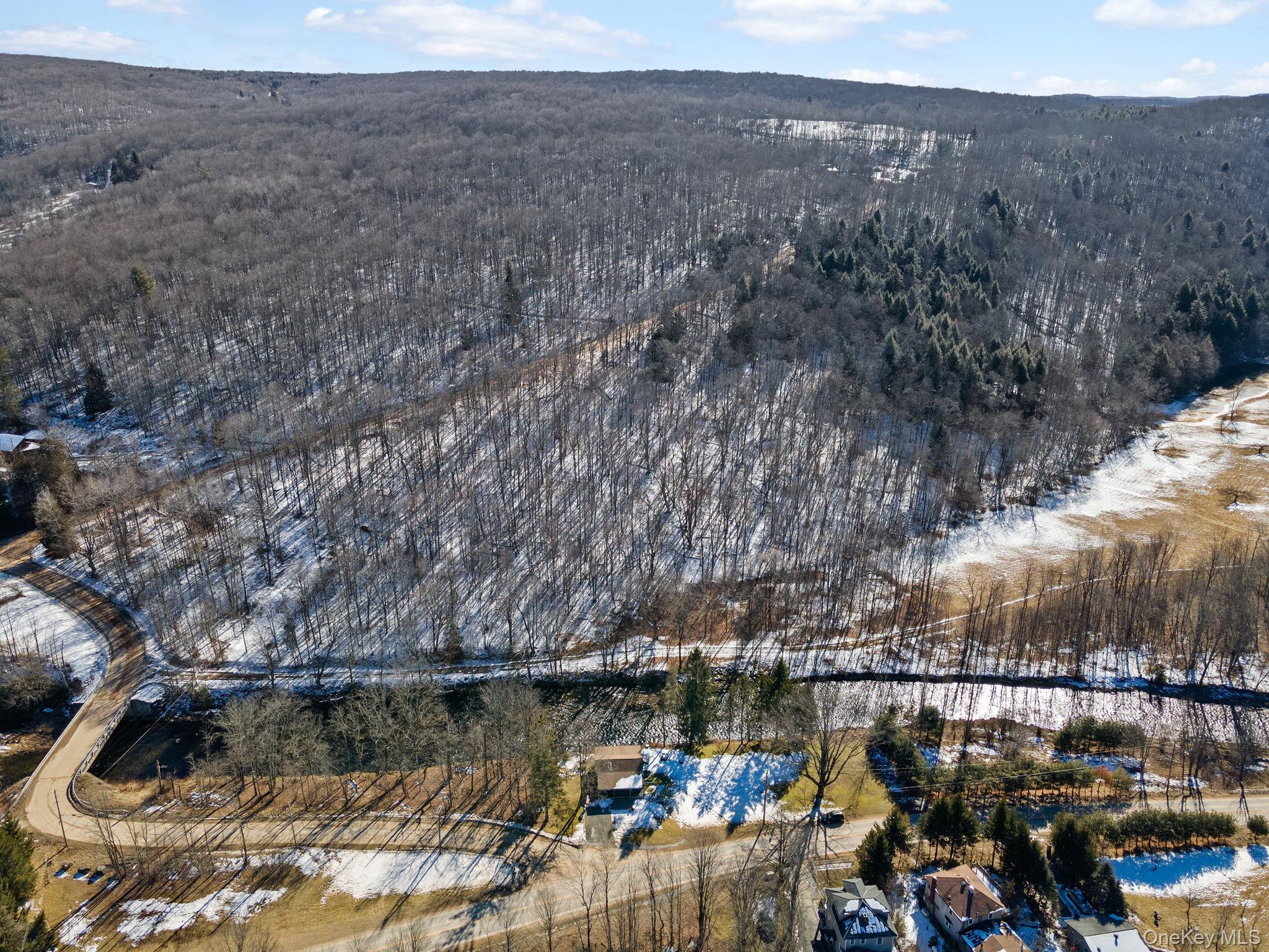 Single Family Debruce Road  Sullivan County, NY 12758, MLS-1019677-15