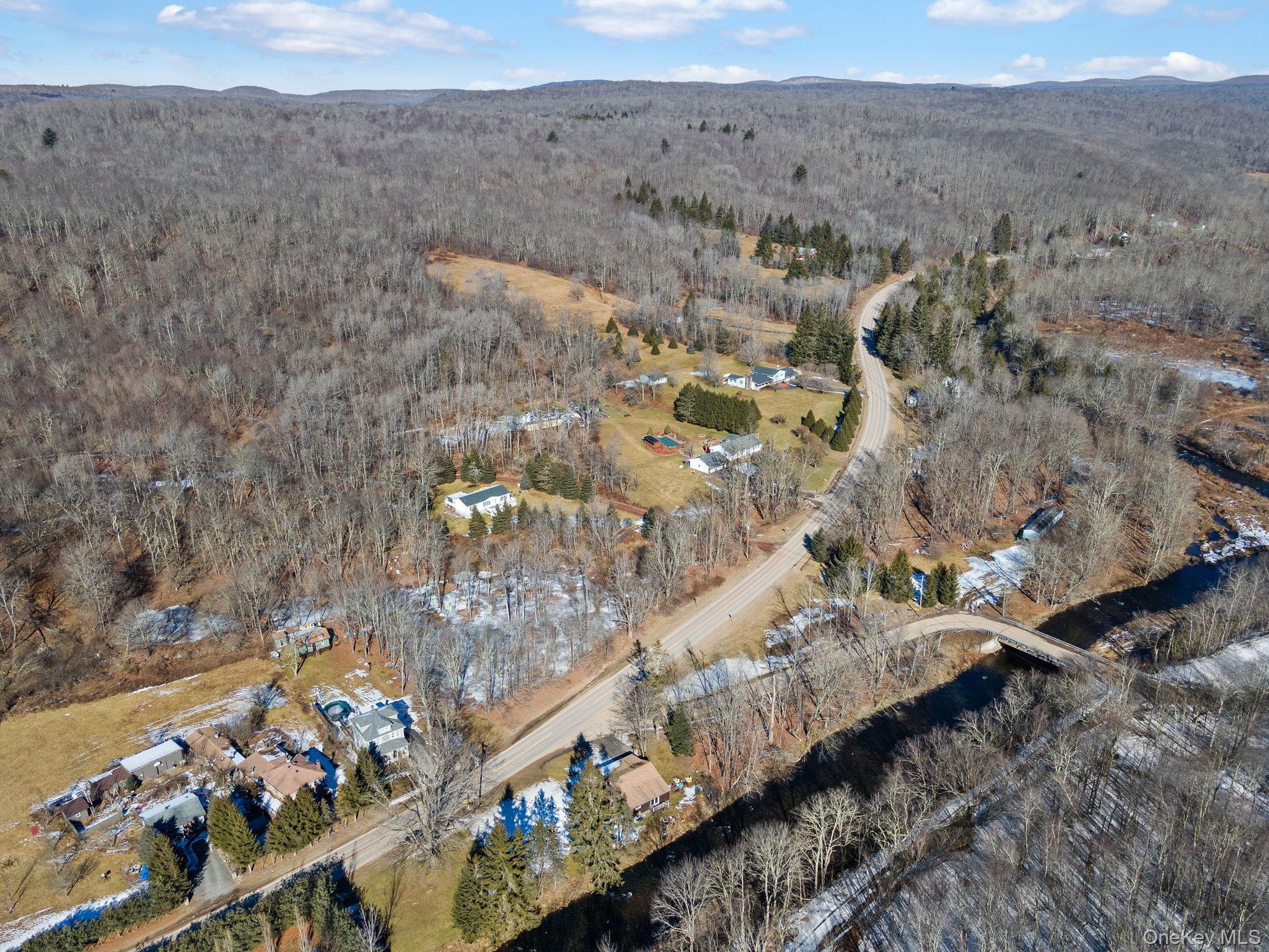 Single Family Debruce Road  Sullivan County, NY 12758, MLS-1019677-17