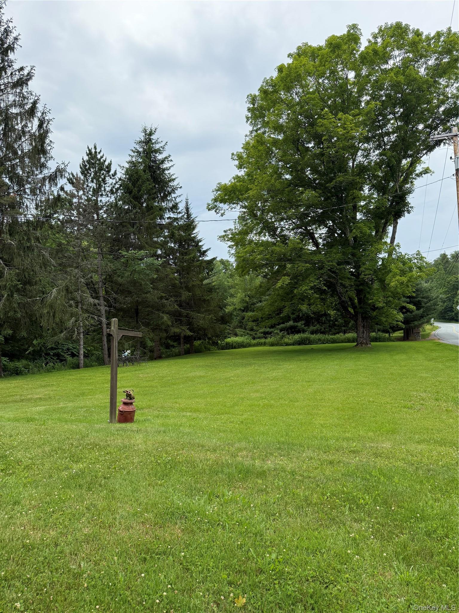 Single Family Debruce Road  Sullivan County, NY 12758, MLS-1019677-39